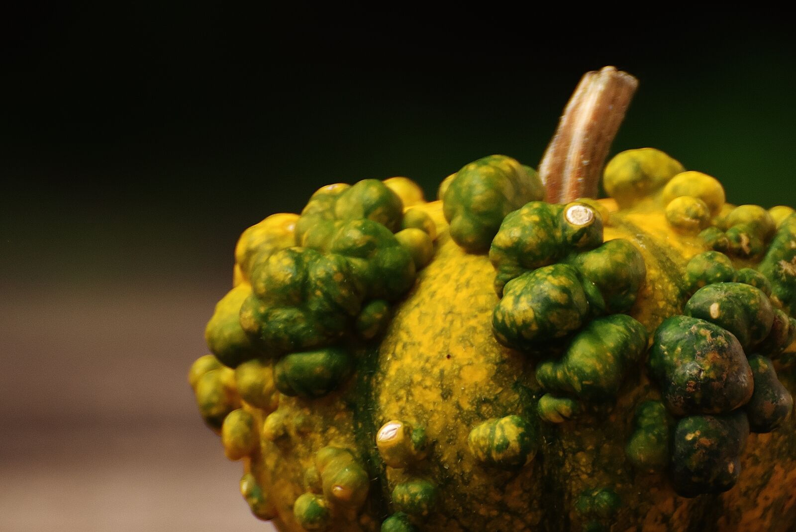 Nikon D7200 sample photo. Pumpkins, decorative squashes, nature photography