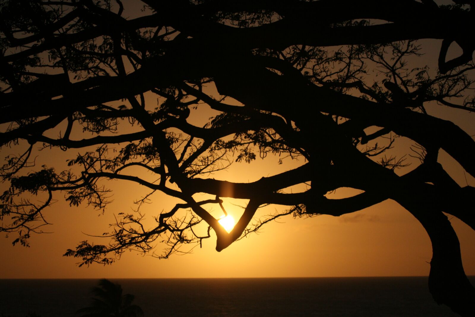 Canon EOS 30D sample photo. Cradle of life, hawaii photography