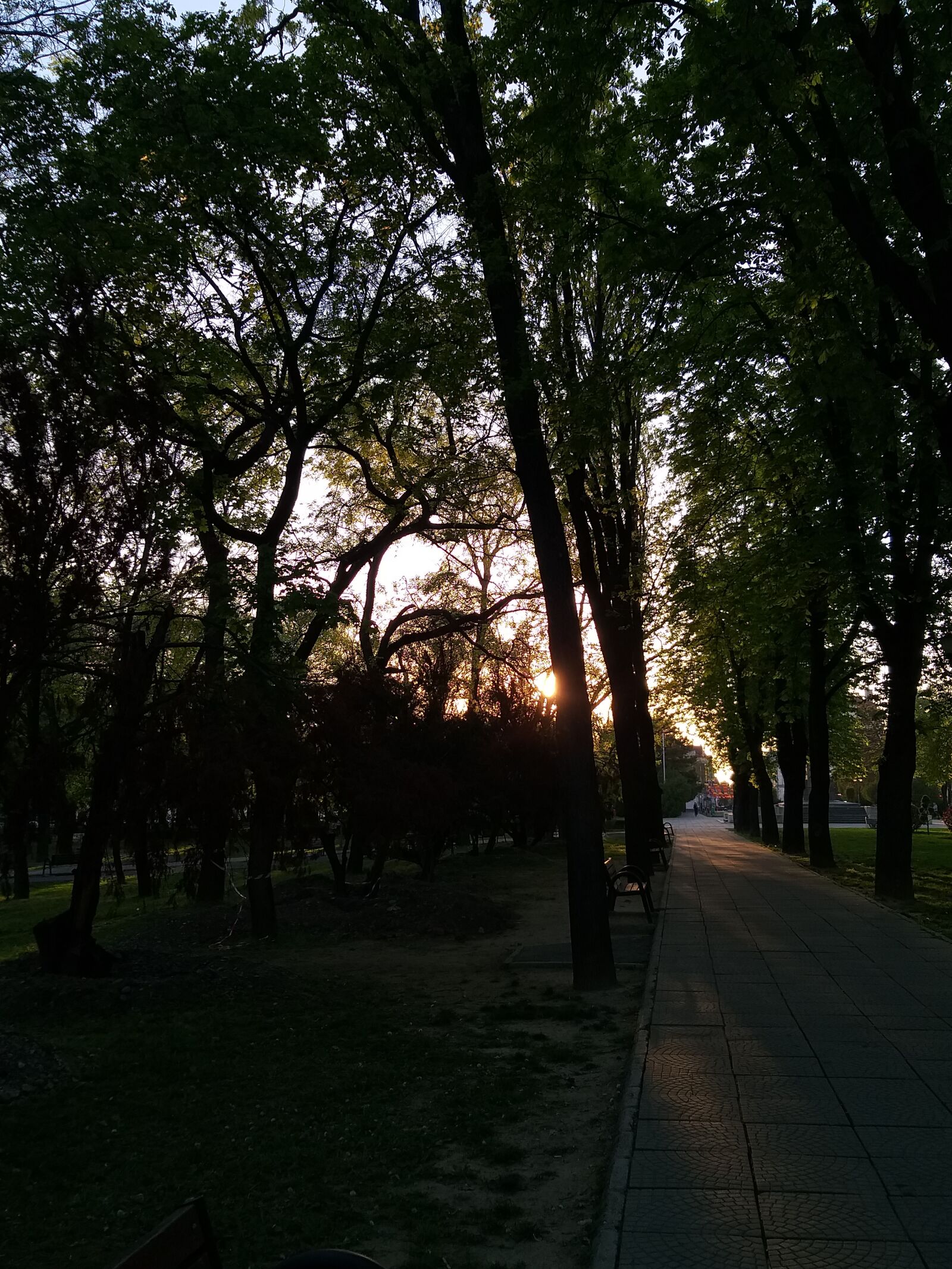 Samsung SM-A605FN sample photo. Sunset, park, trees photography