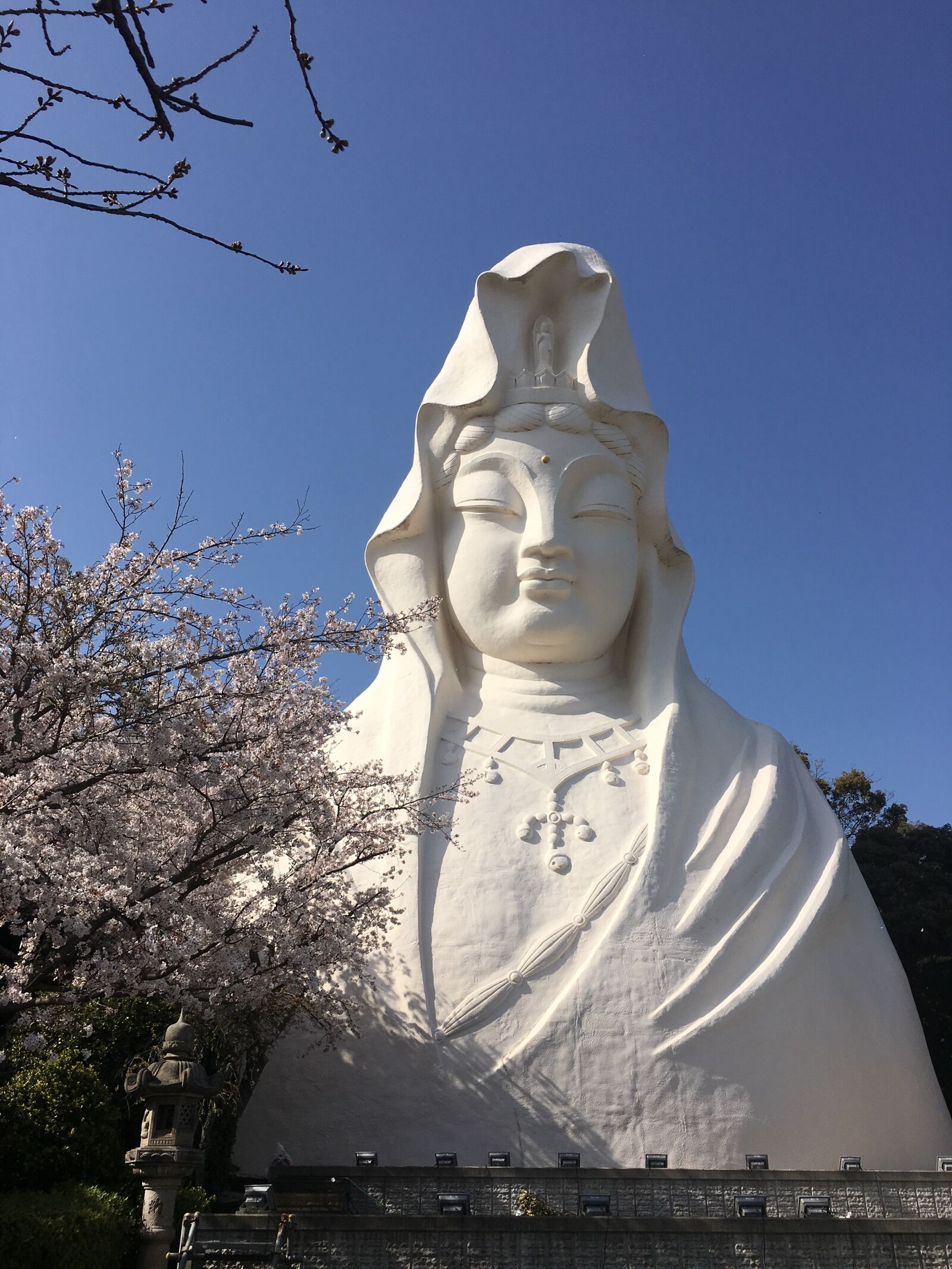 iPhone 6s back camera 4.15mm f/2.2 sample photo. White coat, cherry blossoms photography