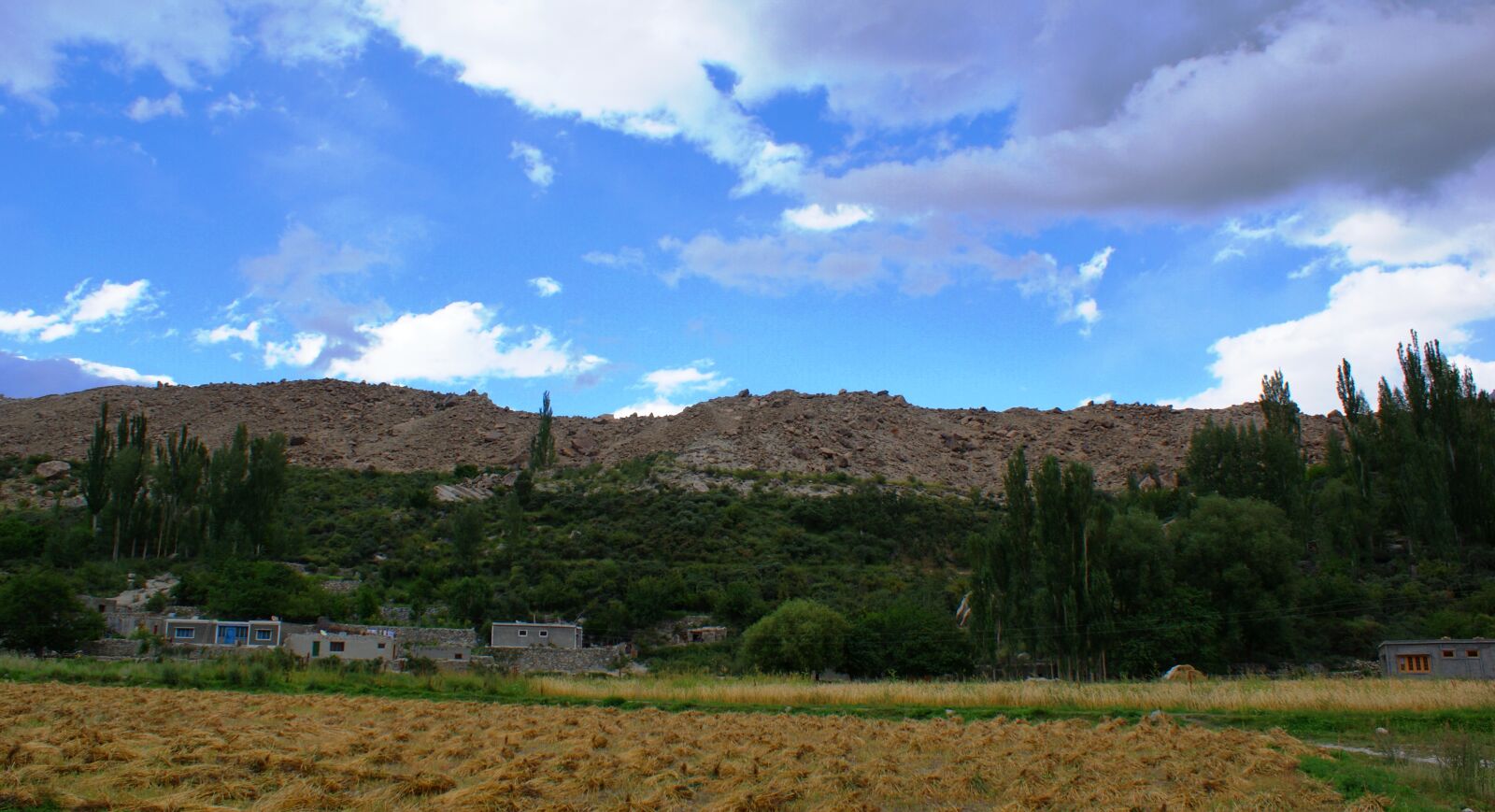 Sony DT 18-70mm F3.5-5.6 sample photo