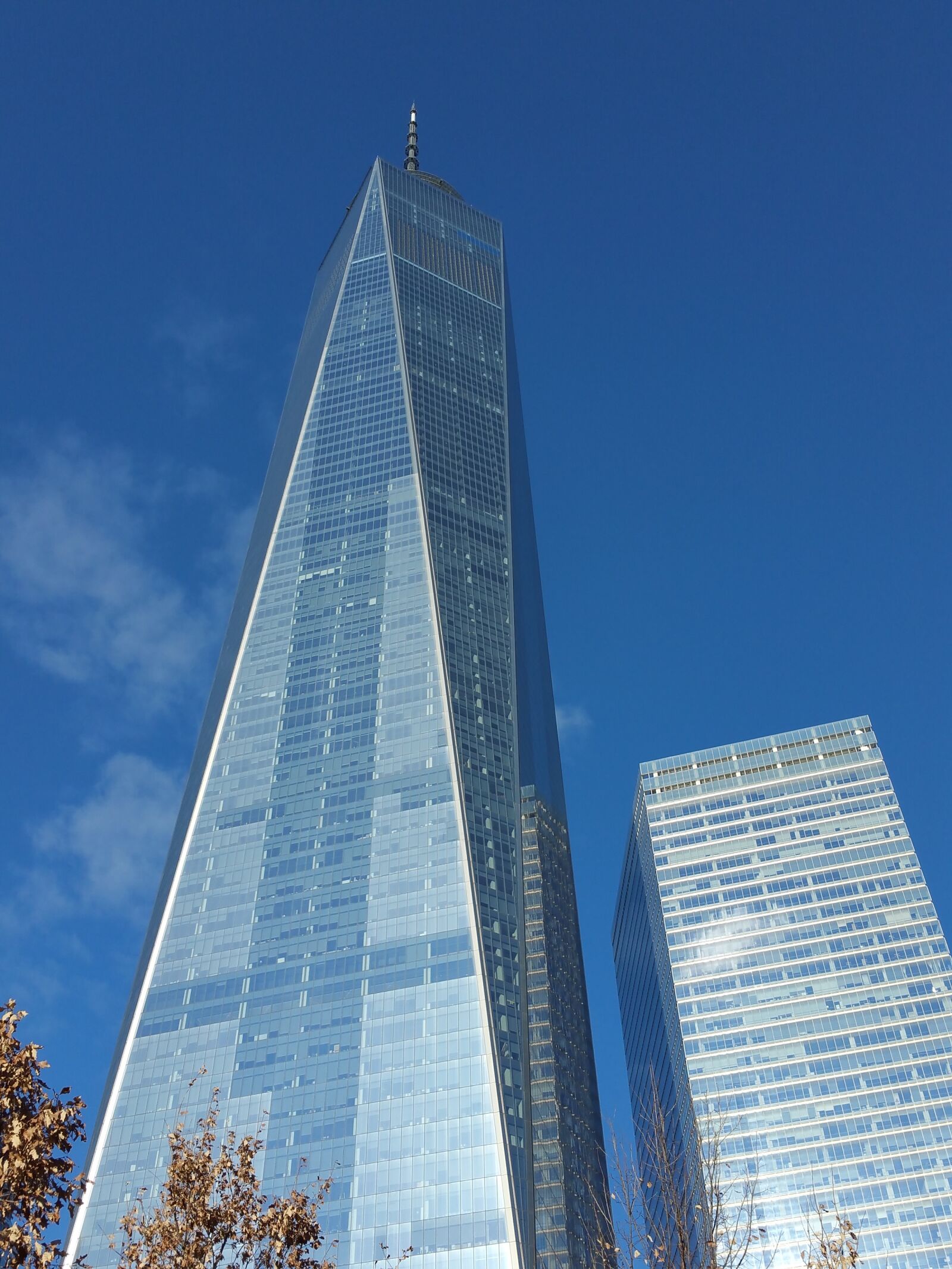 Samsung Galaxy Note4 sample photo. Low, angle, view, of photography