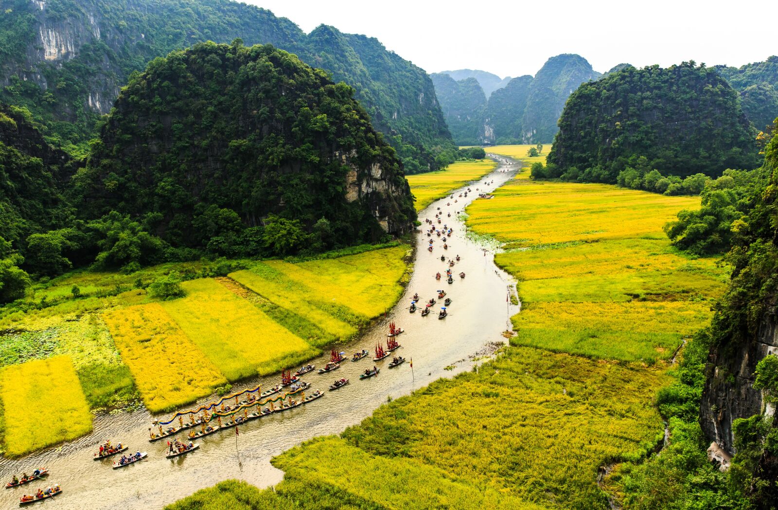 Canon EOS 5D Mark III sample photo. Rice field, dragon boats photography