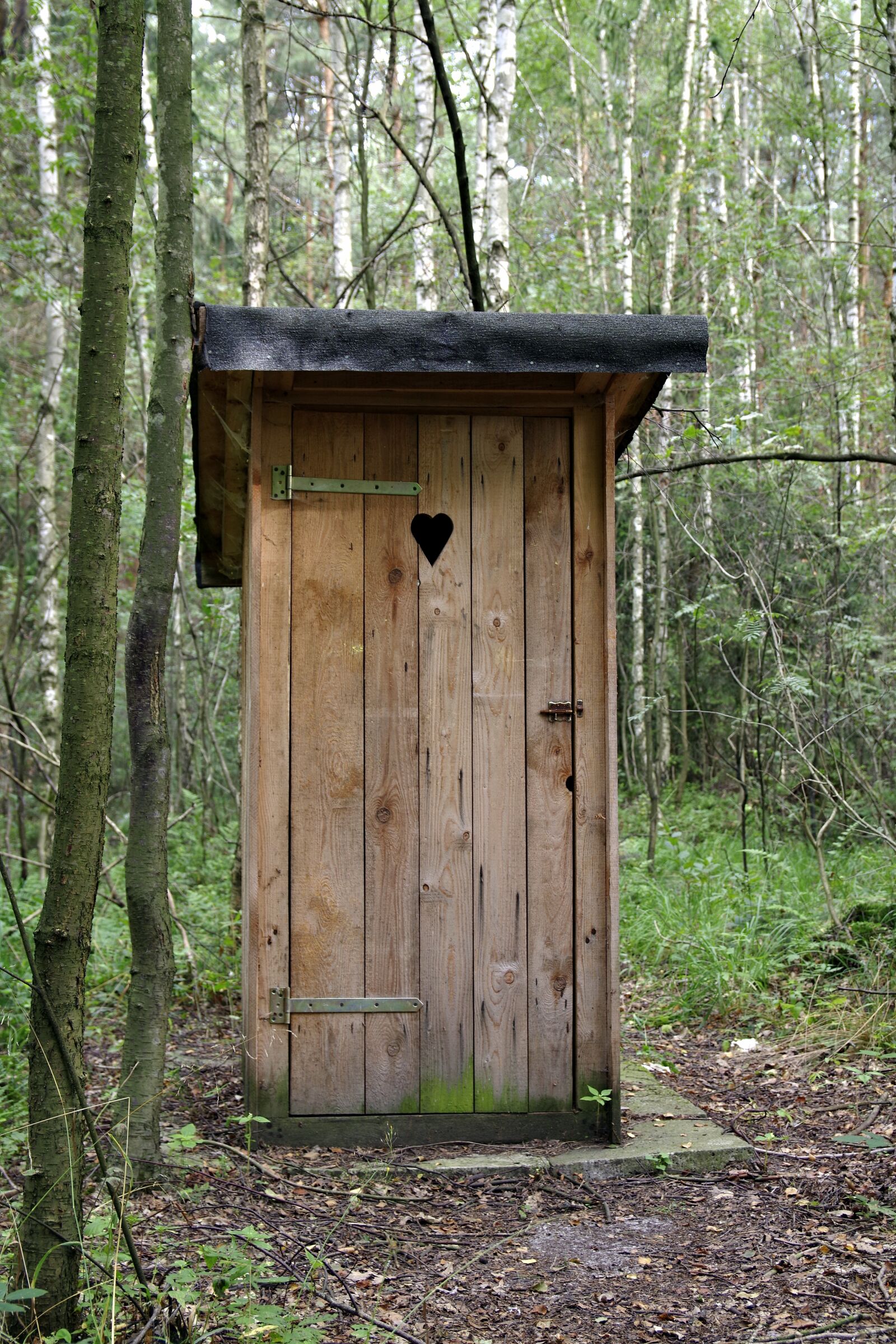 Pentax K-S2 sample photo. The toilet, item, wyg photography