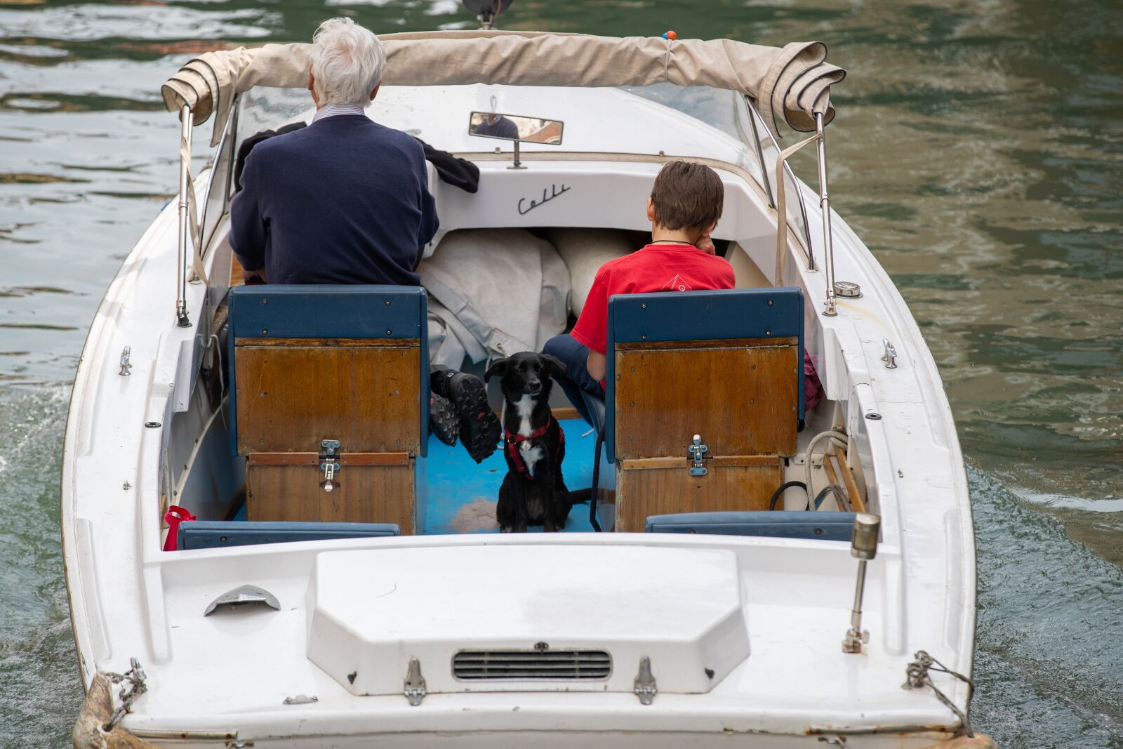 Canon EOS-1D X Mark II sample photo. Venice, boat, dog photography