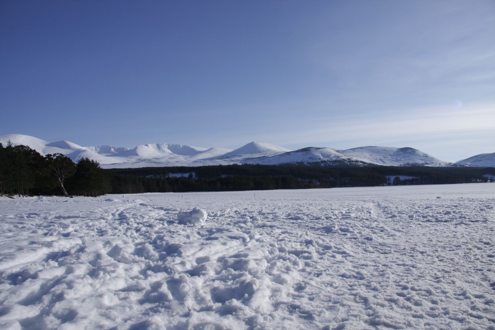 Canon EOS 40D sample photo. Snow, winter, nature photography