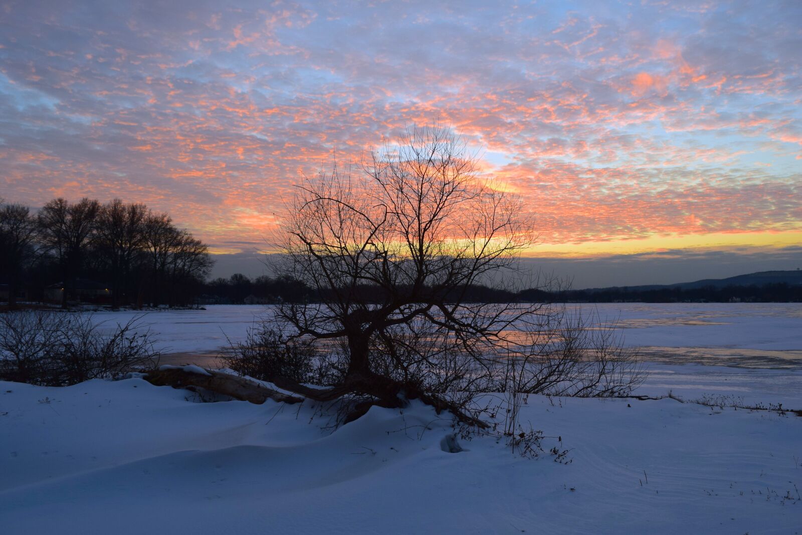 Nikon D3300 sample photo. Sunset, winter, frozen photography