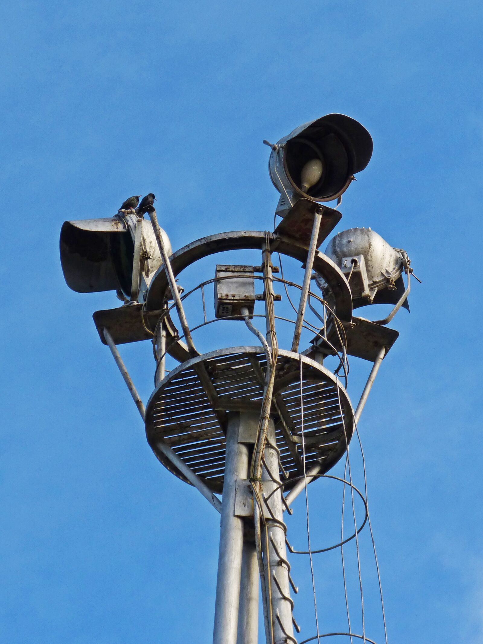 Panasonic DMC-FZ62 sample photo. Spotlights, ilumonacion, tower light photography