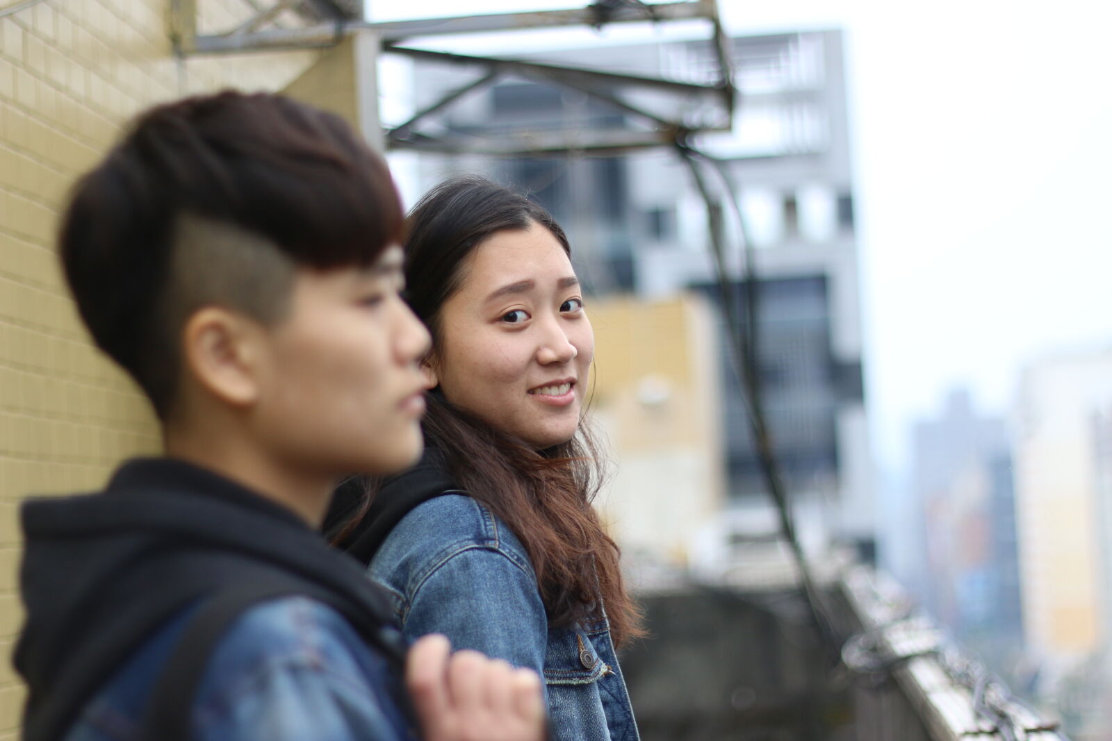 Canon EOS 70D + Canon EF 50mm F1.8 II sample photo