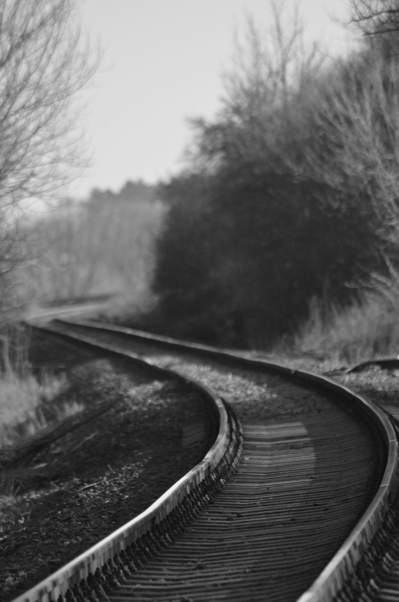 Nikon D5100 sample photo. Track, railway, railroad tracks photography