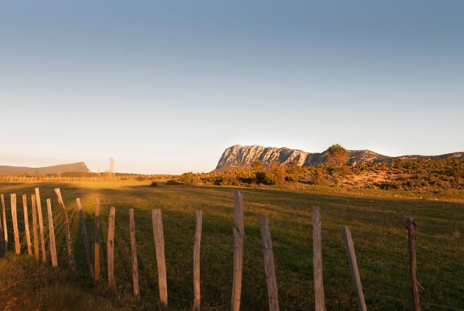 Nikon D80 sample photo. Nature, languedoc, france photography
