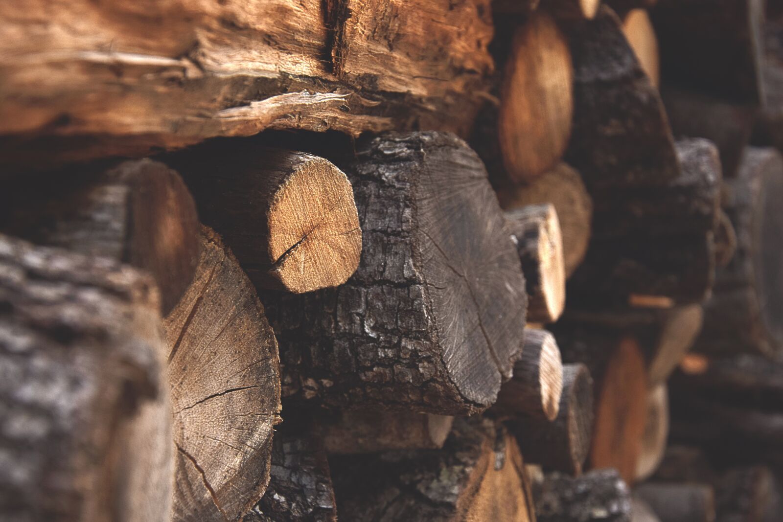 Nikon D3300 sample photo. Wood, detail, texture photography