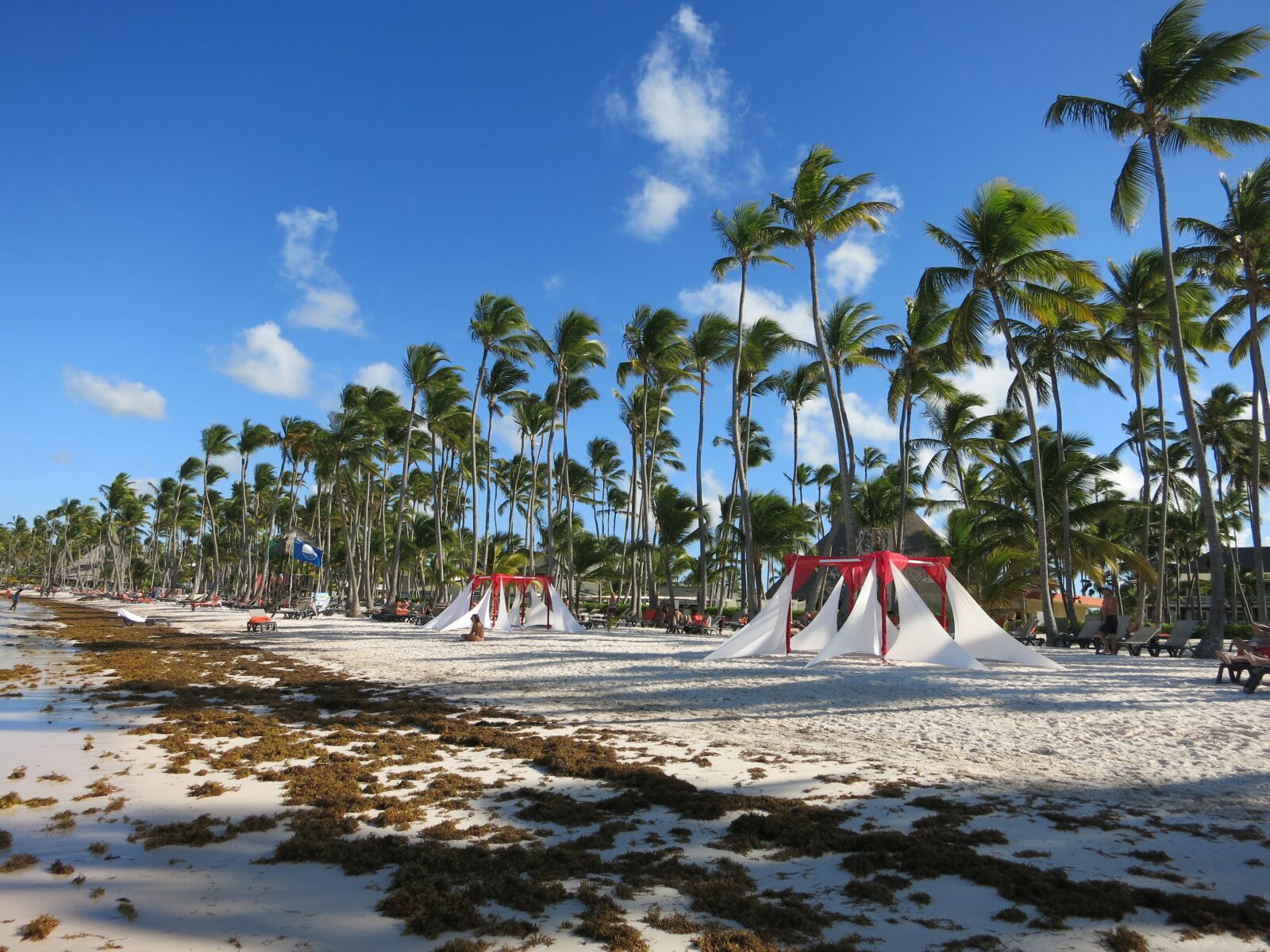 Canon PowerShot S110 sample photo. Beach, palm trees, caribbean photography
