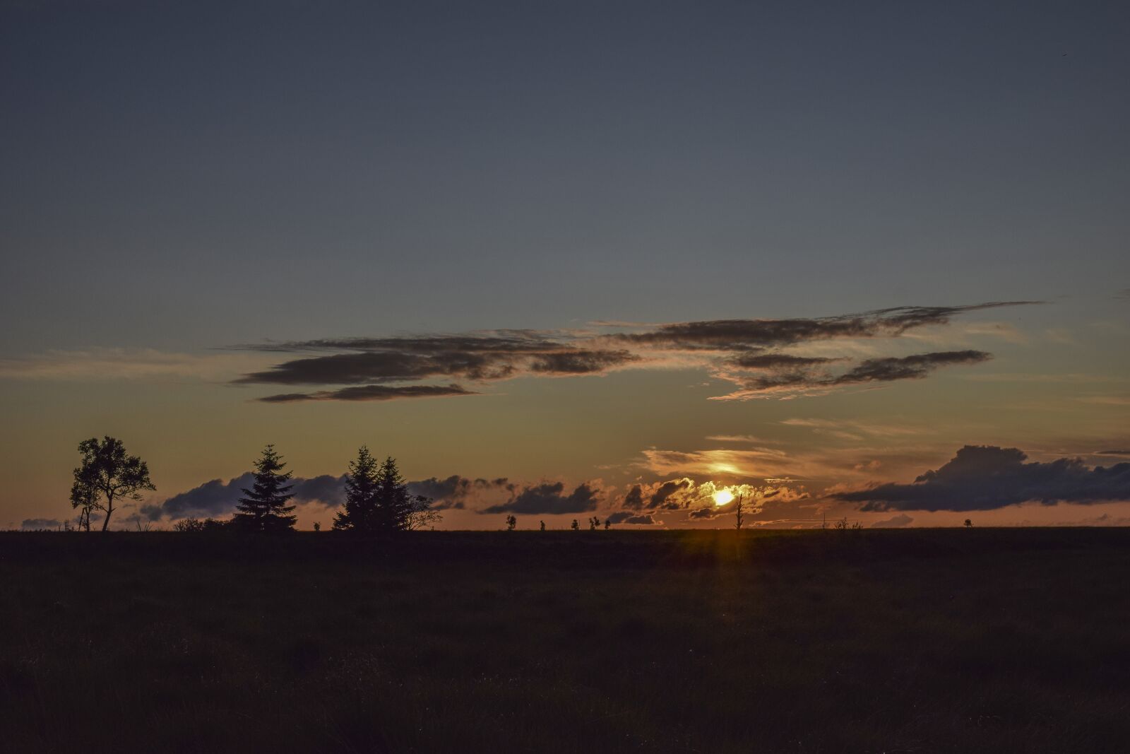 Nikon D3300 sample photo. Nature, landscape, moor photography
