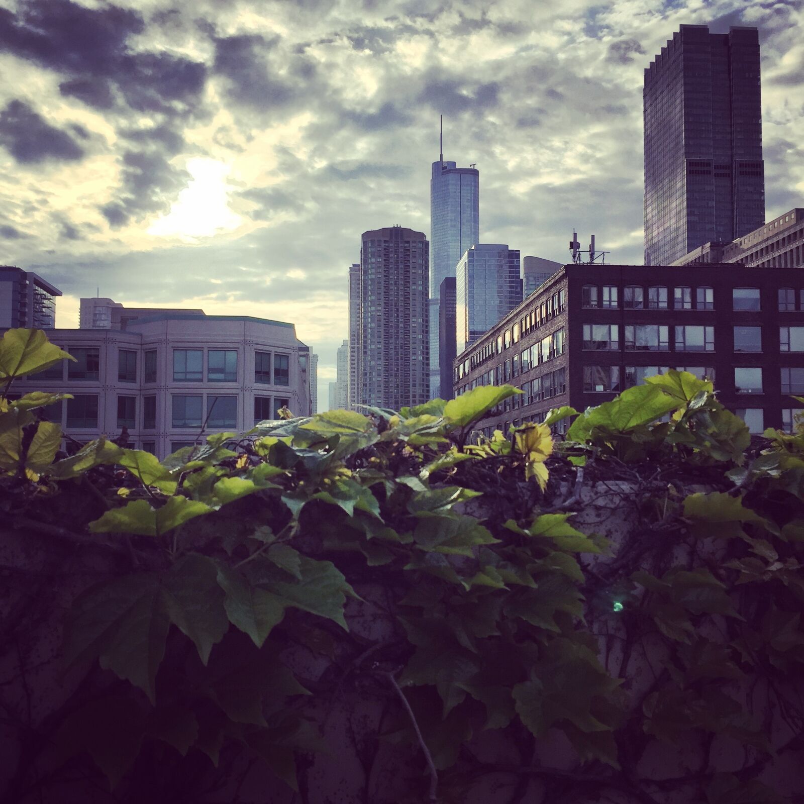 Apple iPhone 6 sample photo. Sun, clouds, nature photography
