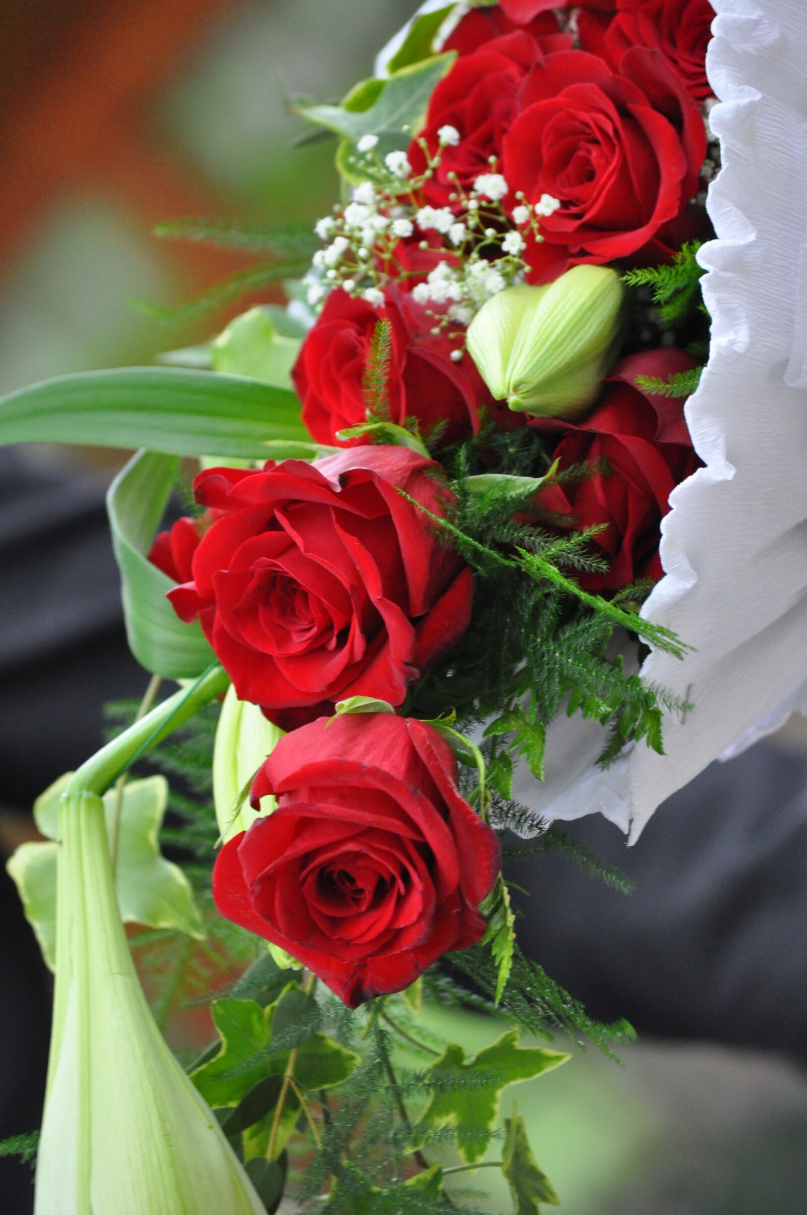 Nikon D5000 sample photo. Roses, flowers, strauss photography