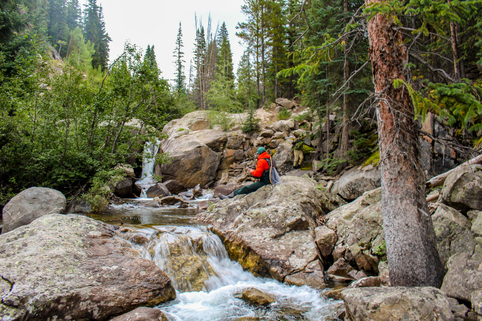 Canon EOS 700D (EOS Rebel T5i / EOS Kiss X7i) sample photo. Colorado, fish, fishing, fly photography
