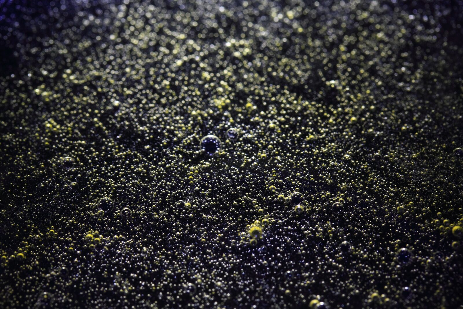 Canon EOS 40D sample photo. Abstract, background, texture photography