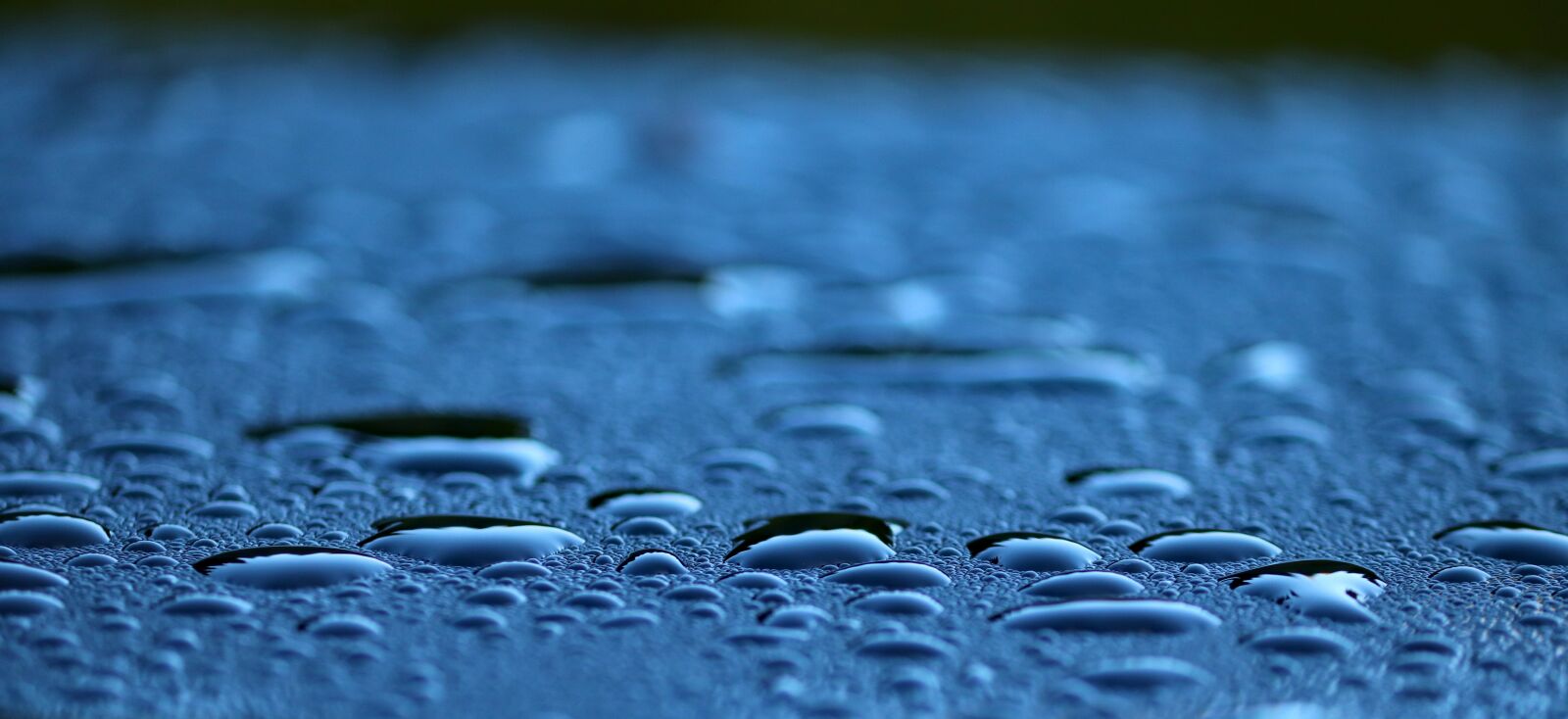 Canon EOS 200D (EOS Rebel SL2 / EOS Kiss X9) sample photo. Drop of water, beaded photography