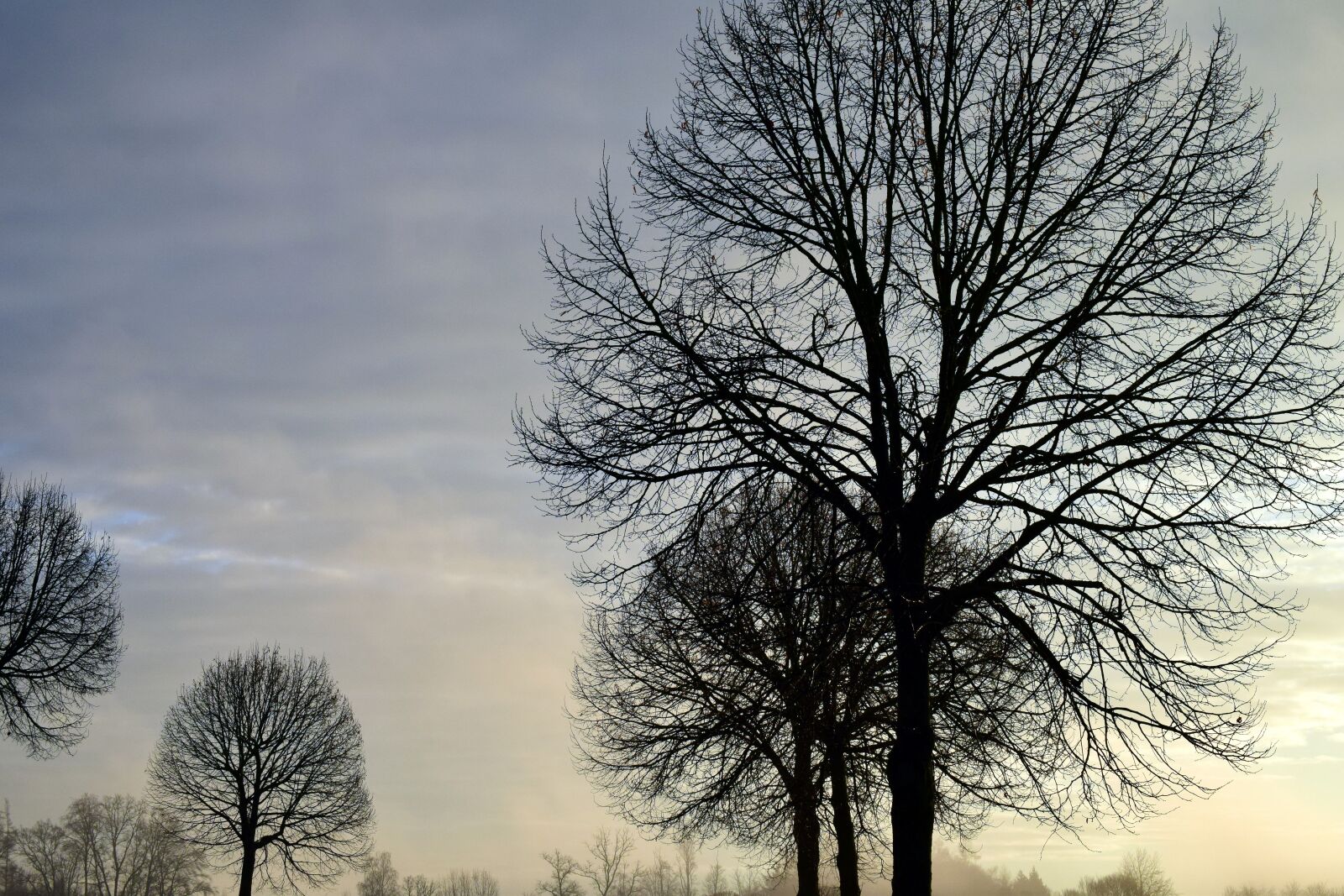 Nikon D3300 sample photo. Sky, clouds, cold photography