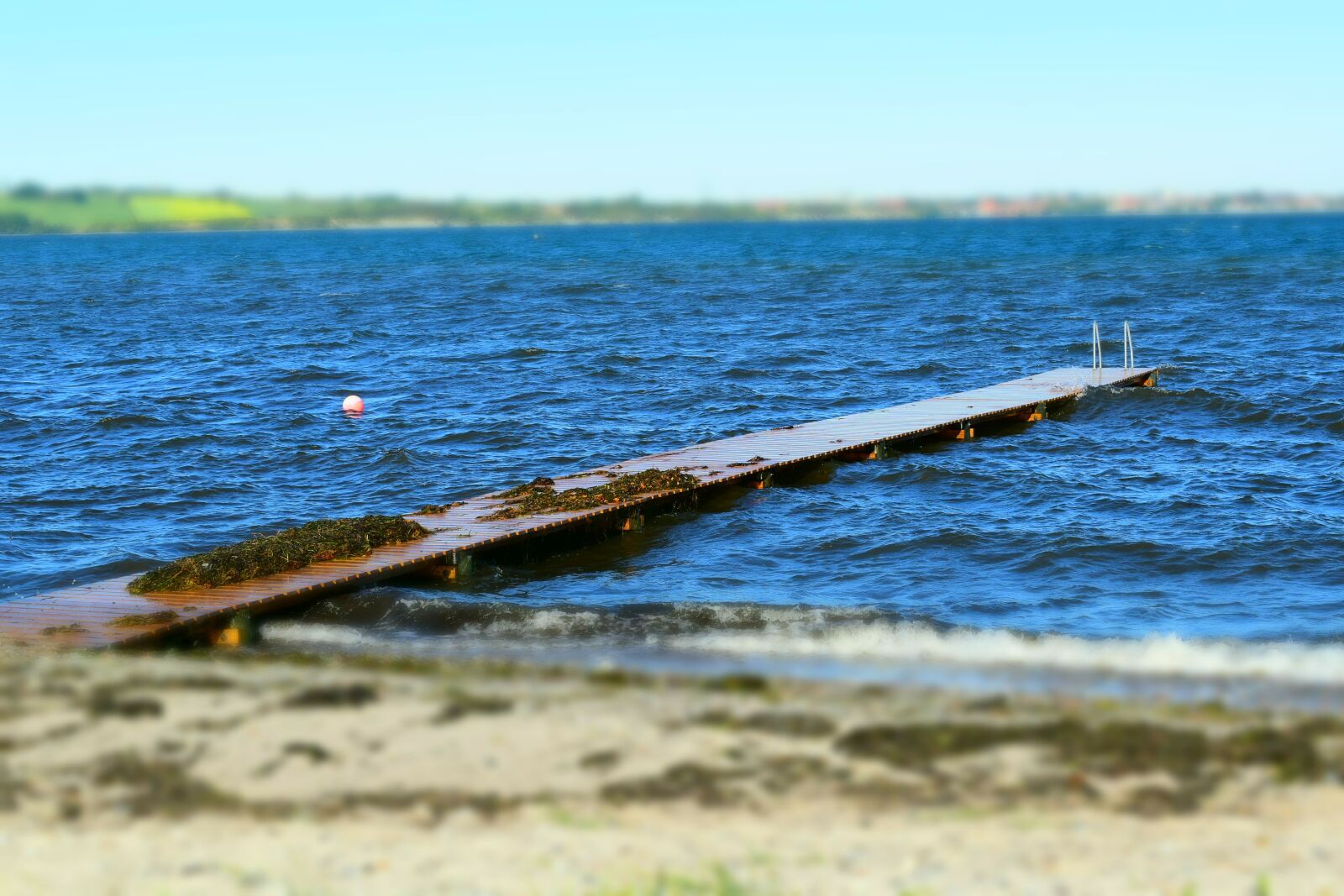 Nikon D5500 sample photo. Baltic sea, denmark, small photography