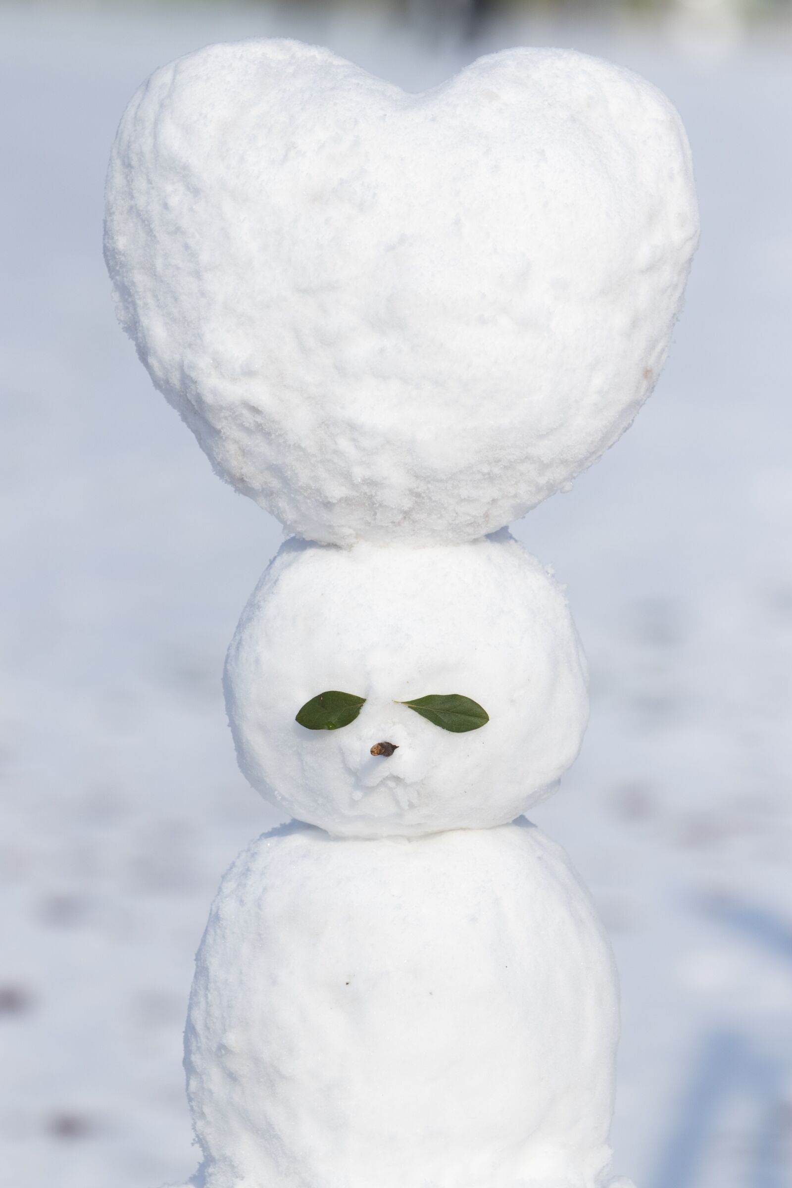 Canon EF 70-200mm F2.8L USM sample photo. Snow, snowman, winter photography