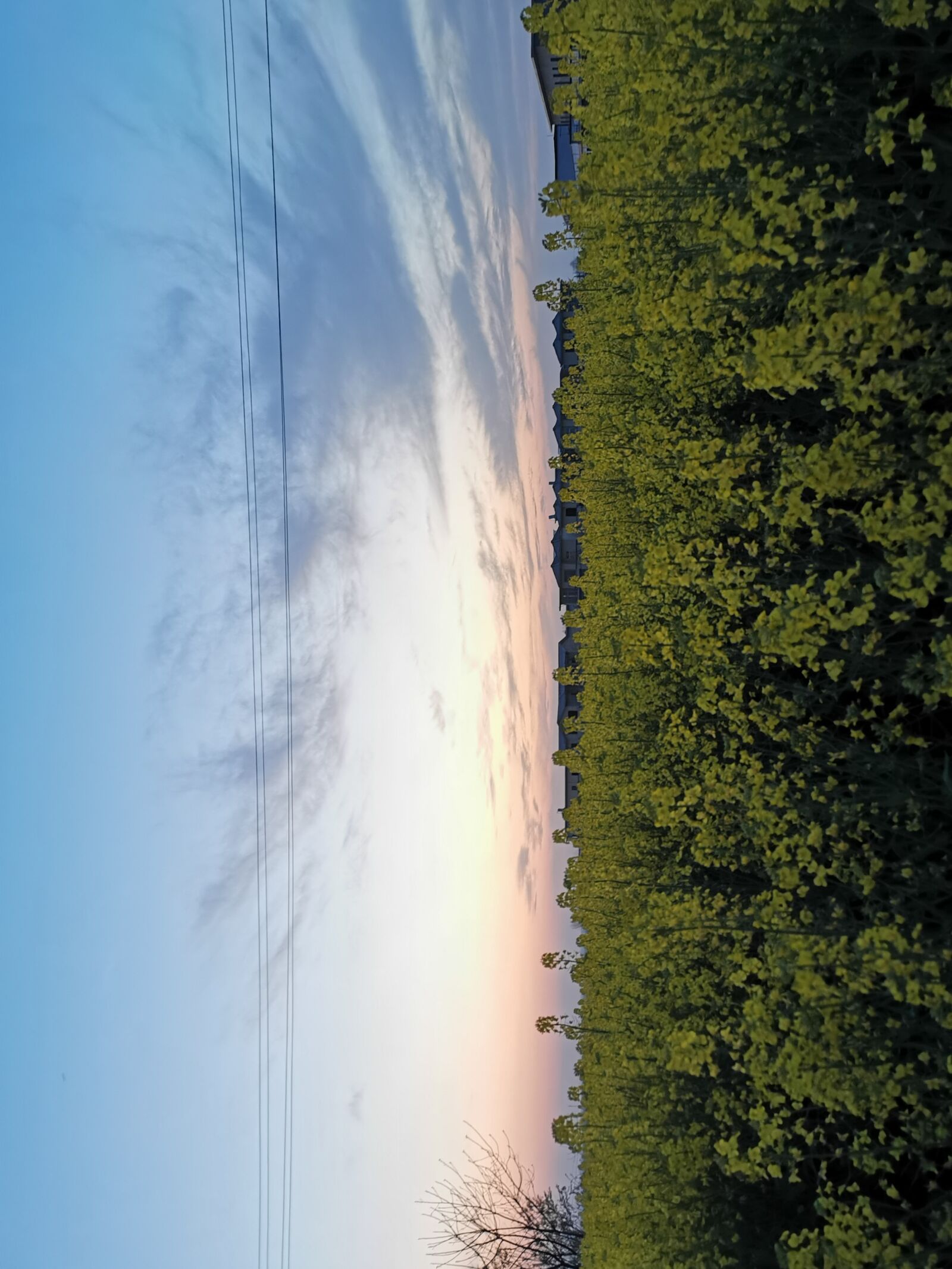 HUAWEI P30 sample photo. Sky, cloud, and flowers photography