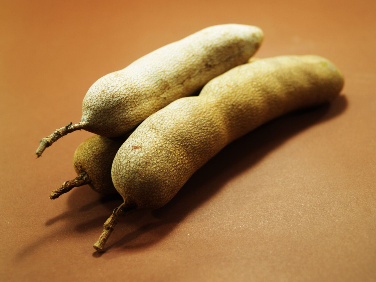 Olympus E-300 (EVOLT E-300) sample photo. Tamarind, isolated, ripe photography