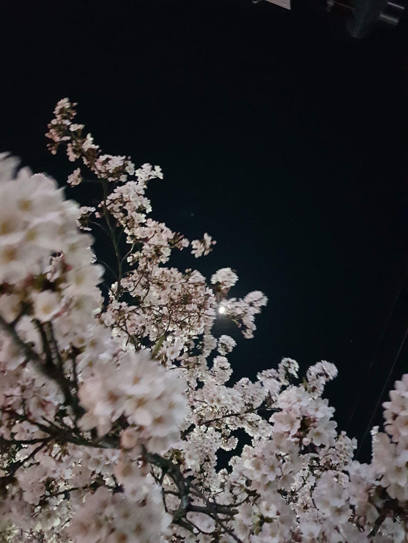 Samsung Galaxy S8+ sample photo. Night, the night sky photography