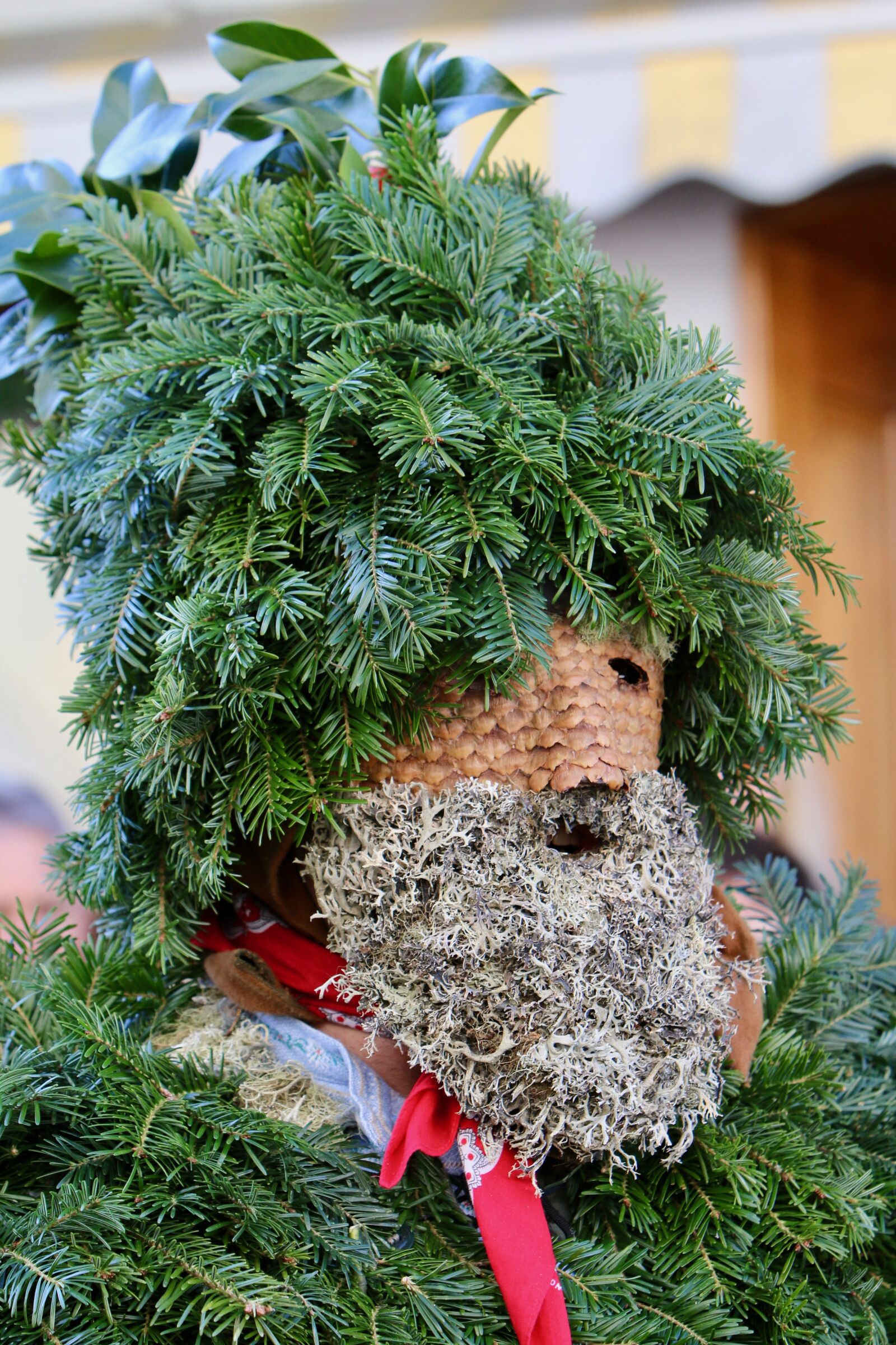 Canon EOS 70D + Canon EF 70-200mm F2.8L IS USM sample photo. Silvesterchlaus, holly, mask photography