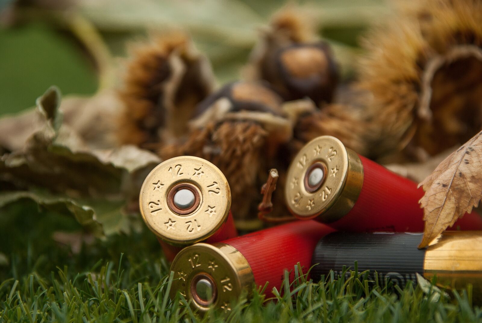 Pentax K10D sample photo. Cartridges, weapon, rifle ammunition photography