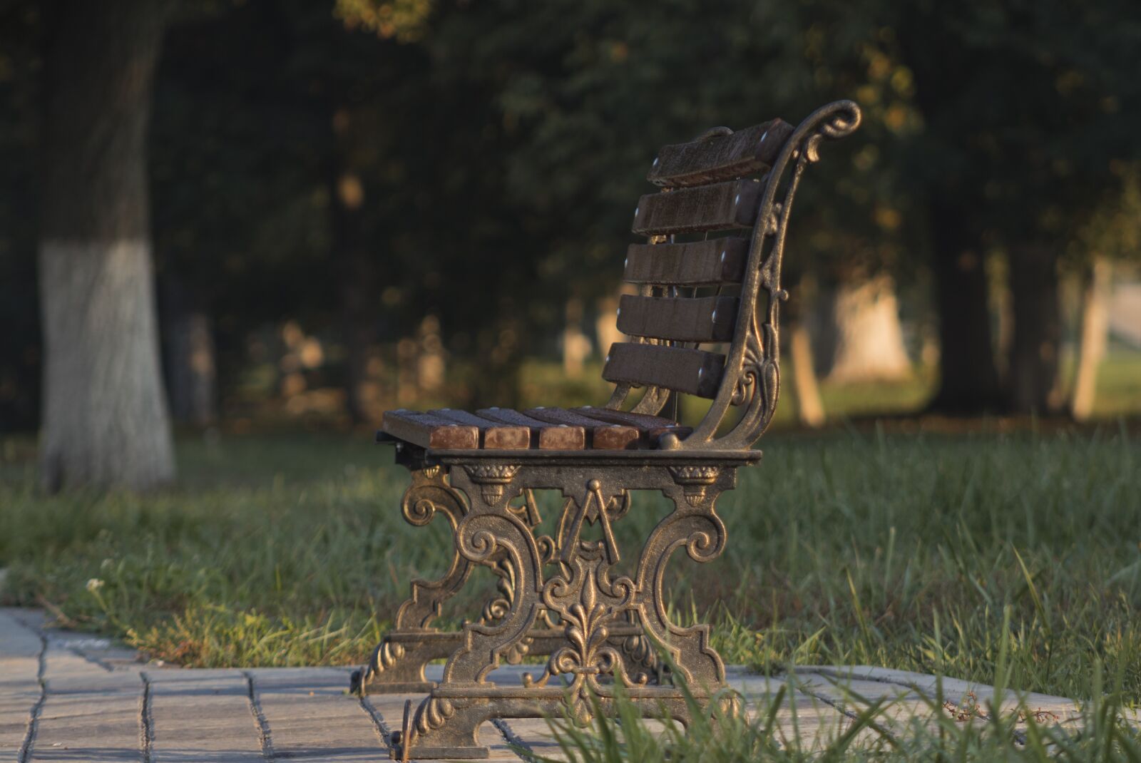 Canon EF 75-300mm f/4-5.6 USM sample photo. Bench, park, forged photography