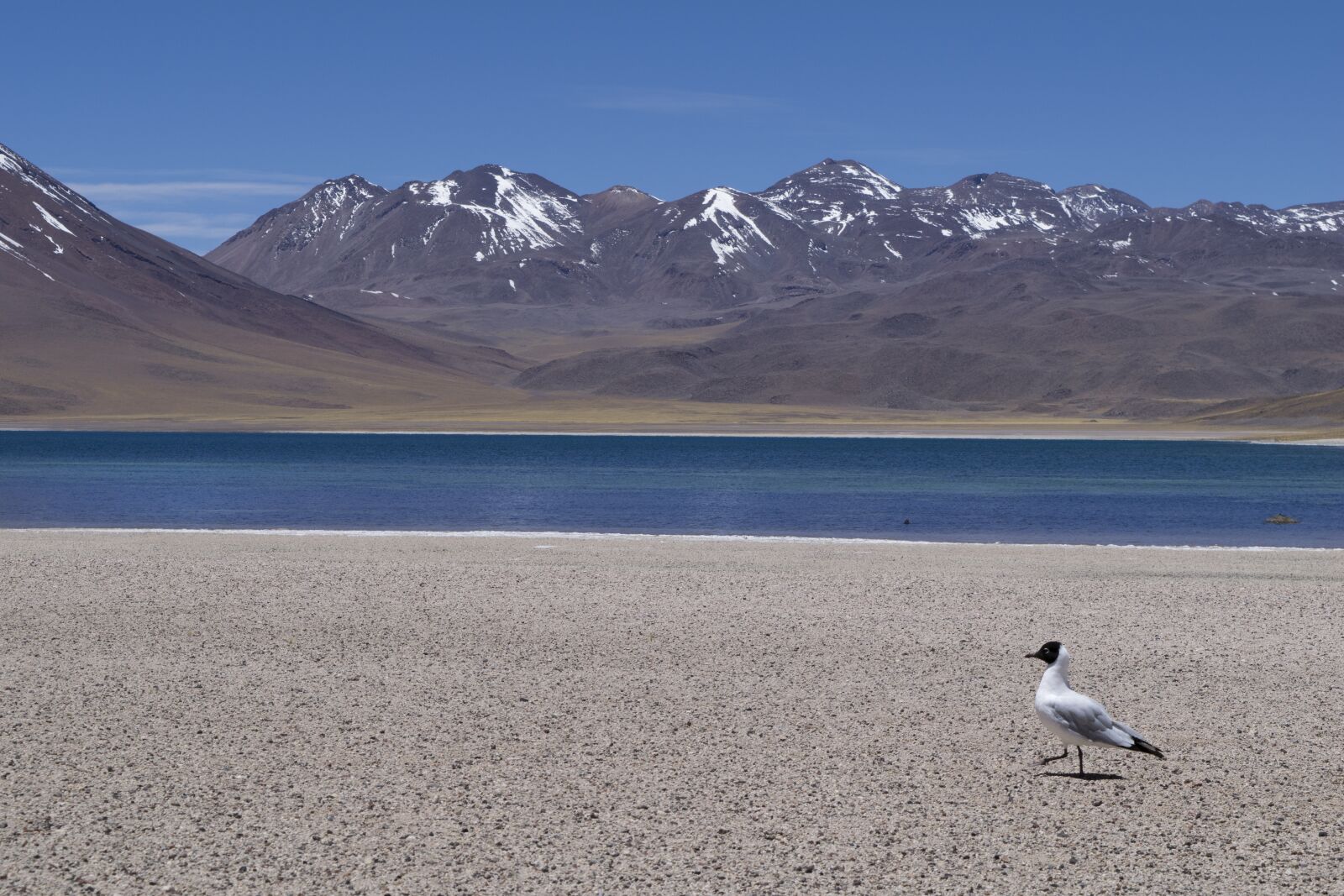 Nikon D3300 sample photo. Chile, atacama, volcanoes photography