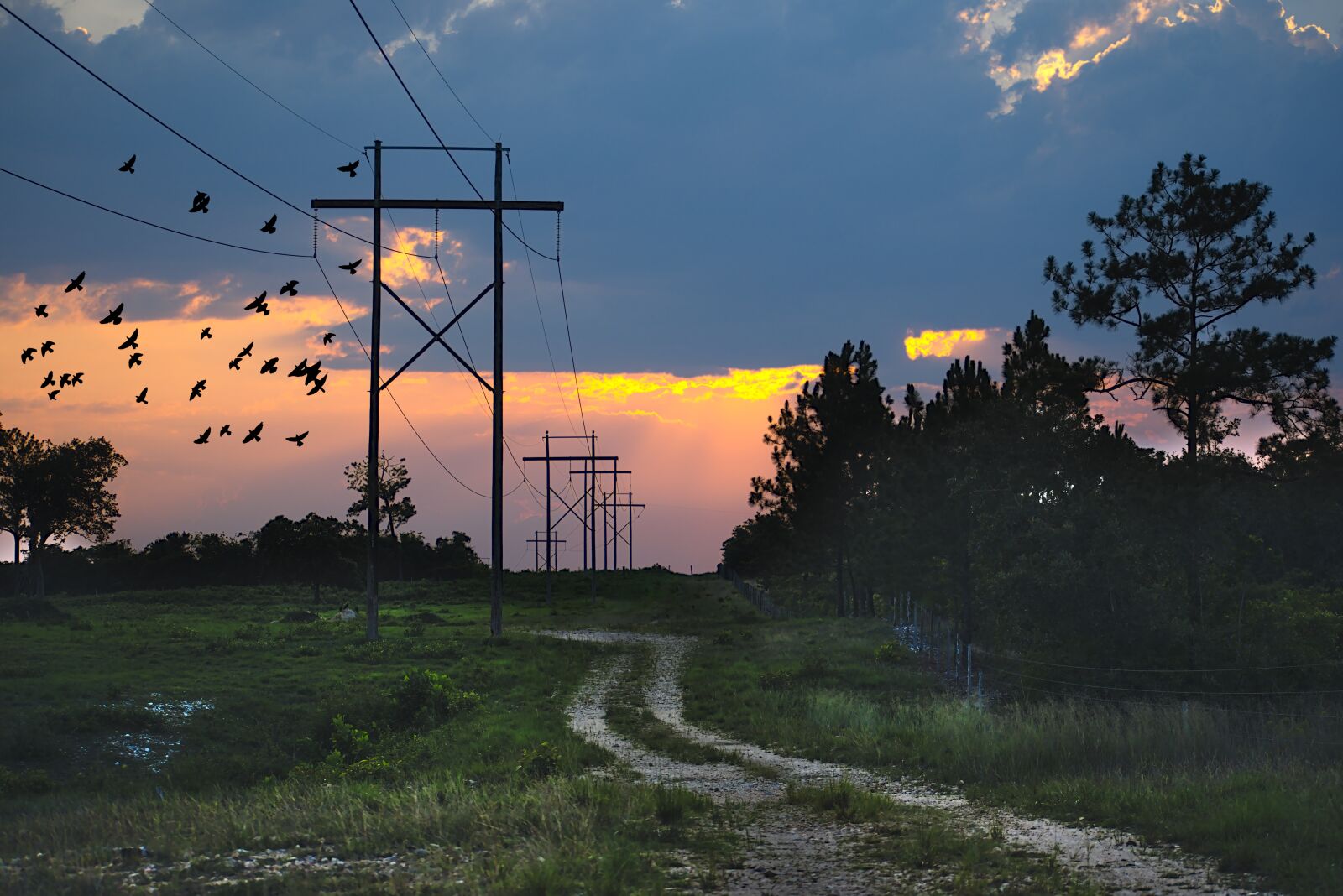 Nikon D7200 sample photo. Road, power lines, landscape photography