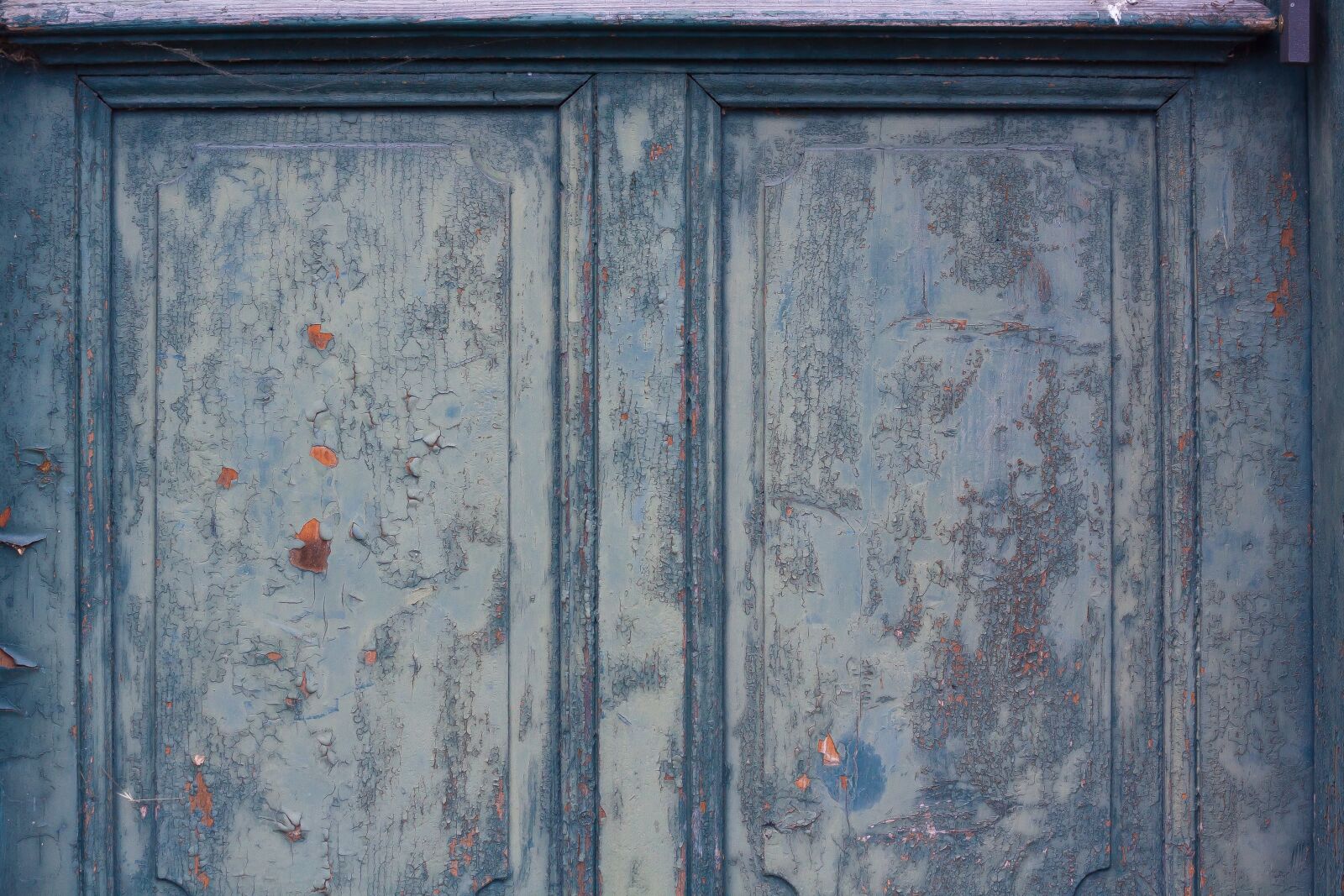 Canon EOS 50D sample photo. Door, wood, grey photography