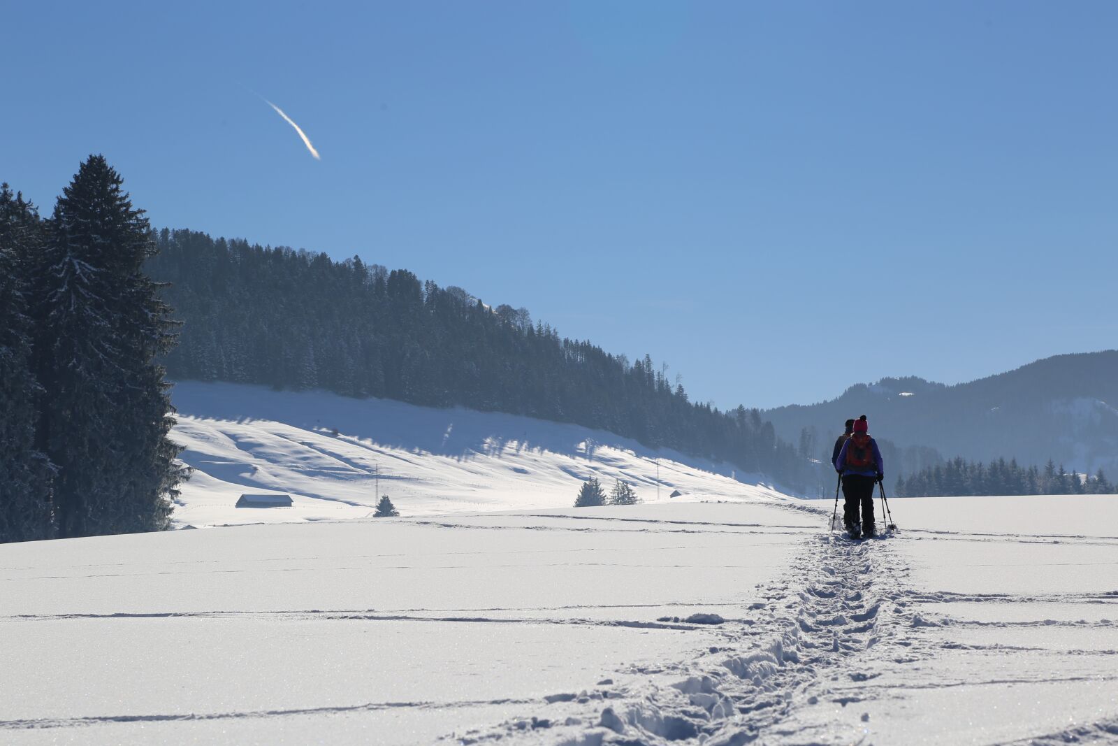 Canon EOS 6D + Canon EF 24-105mm F4L IS USM sample photo. Winter, snow, trace photography
