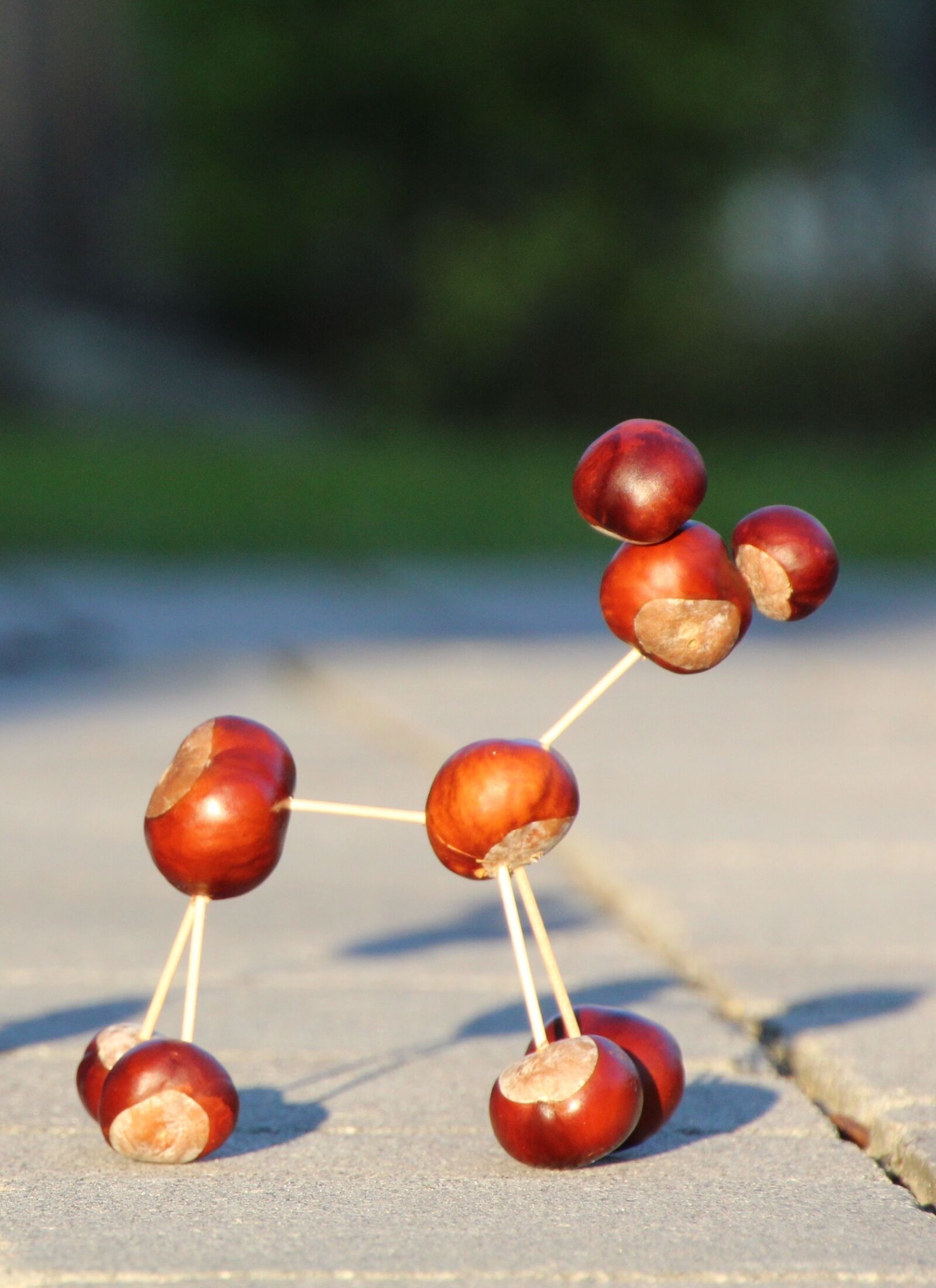 Canon EOS 1200D (EOS Rebel T5 / EOS Kiss X70 / EOS Hi) sample photo. Chestnut animal, chestnut, toothpick photography