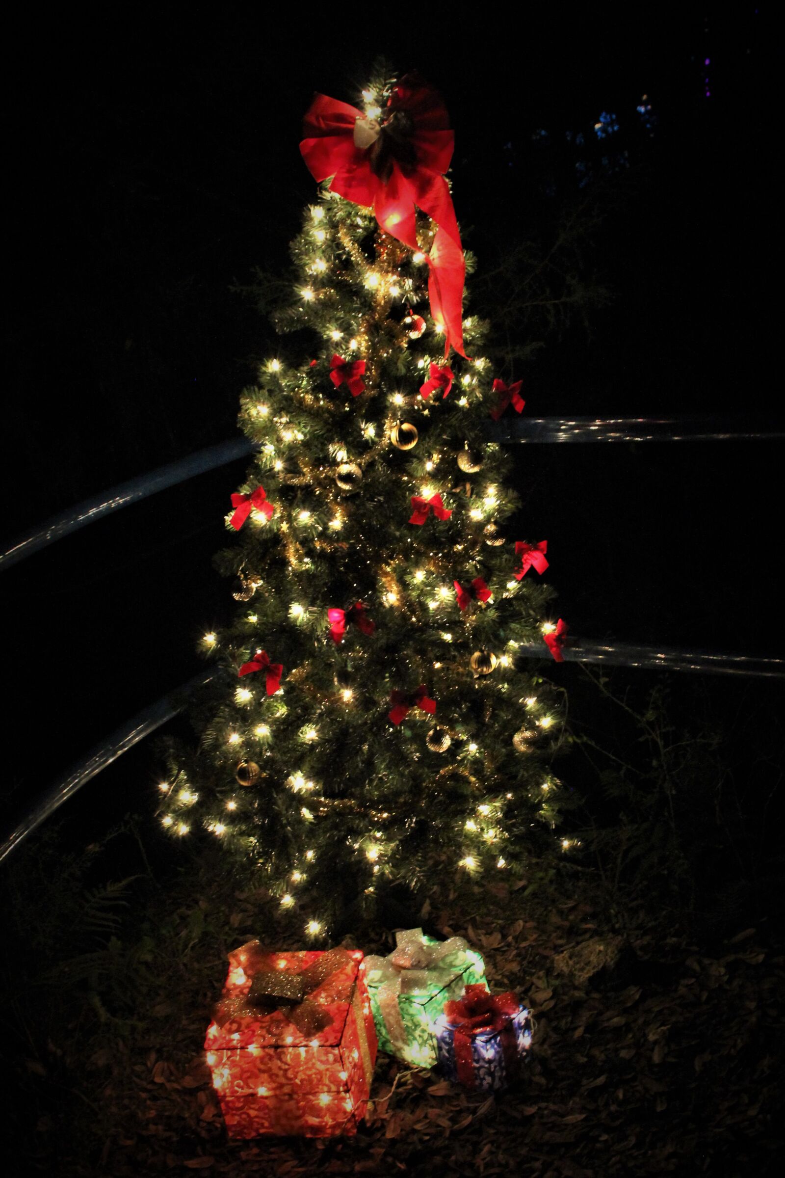 Canon EOS 600D (Rebel EOS T3i / EOS Kiss X5) sample photo. Christmas, tree, decoration photography