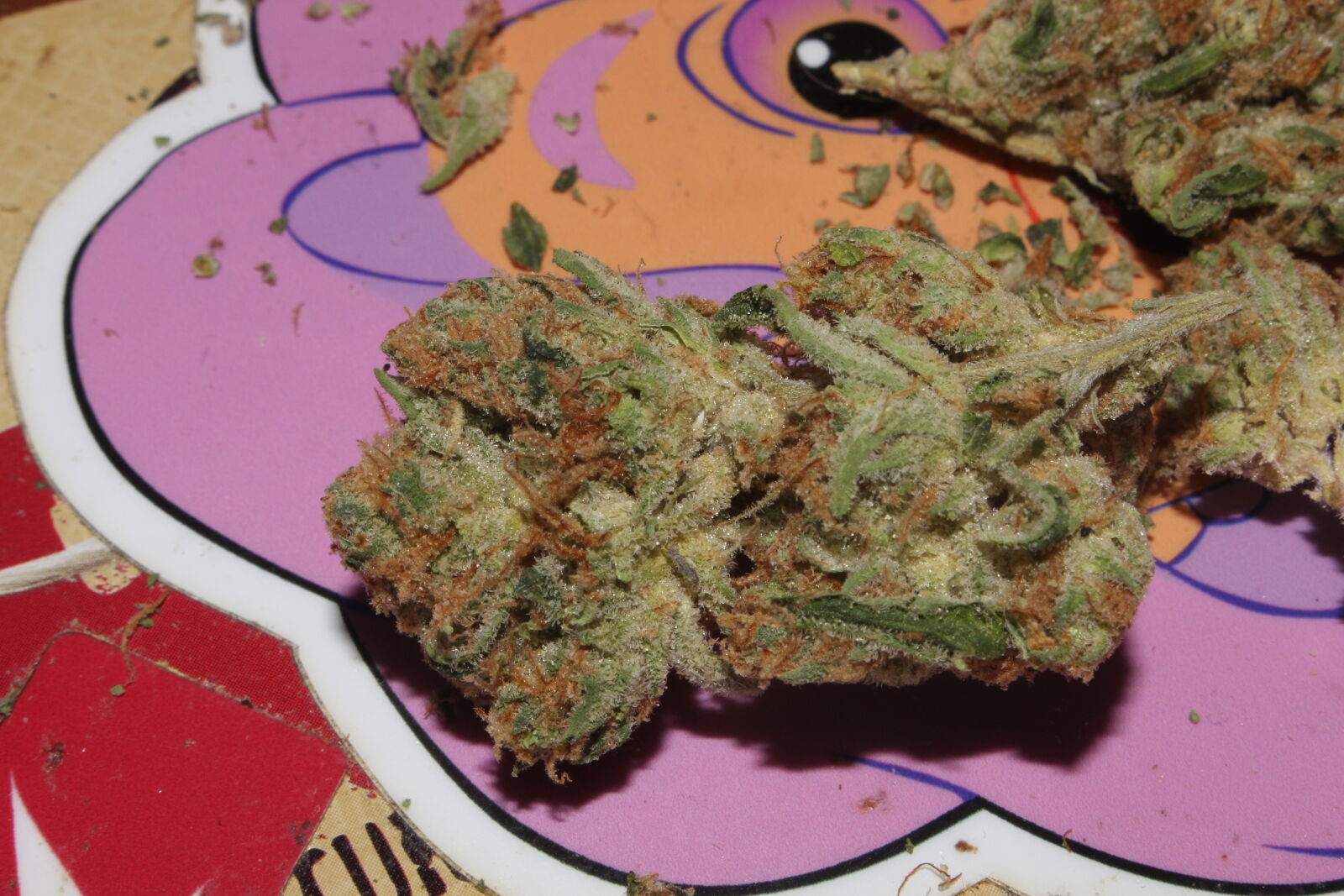 Canon EOS 700D (EOS Rebel T5i / EOS Kiss X7i) sample photo. 420, 710, buds, cannabis photography