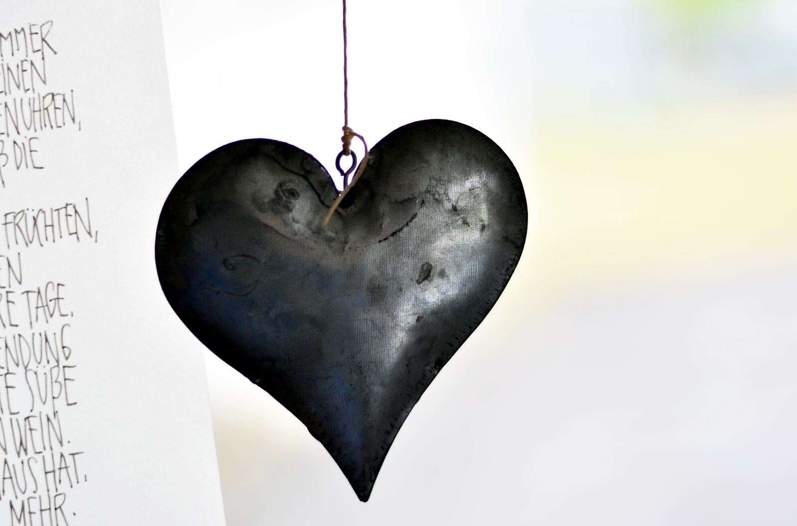Nikon D5200 sample photo. Heart, iron, metal photography