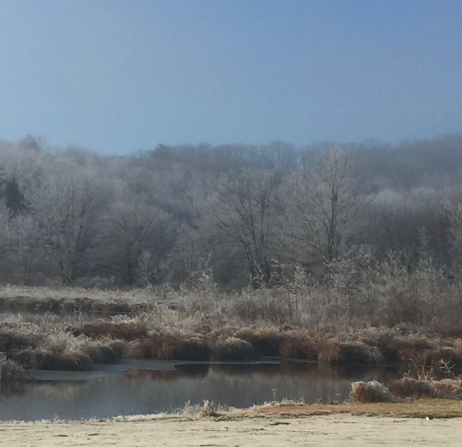 iPhone 6 Plus back camera 4.15mm f/2.2 sample photo. Frost photography