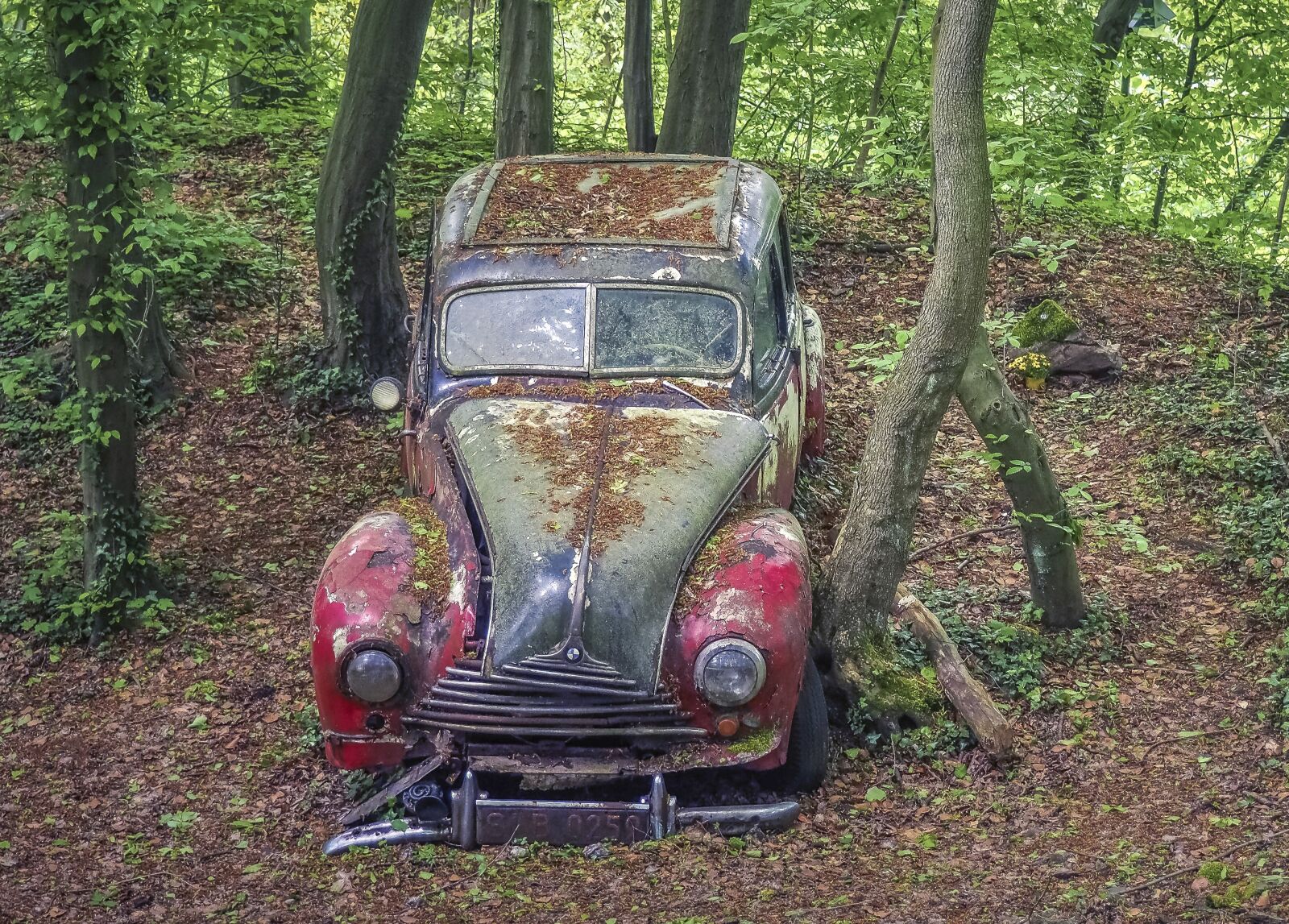 Olympus OM-D E-M10 sample photo. Auto, car cemetery, oldtimer photography