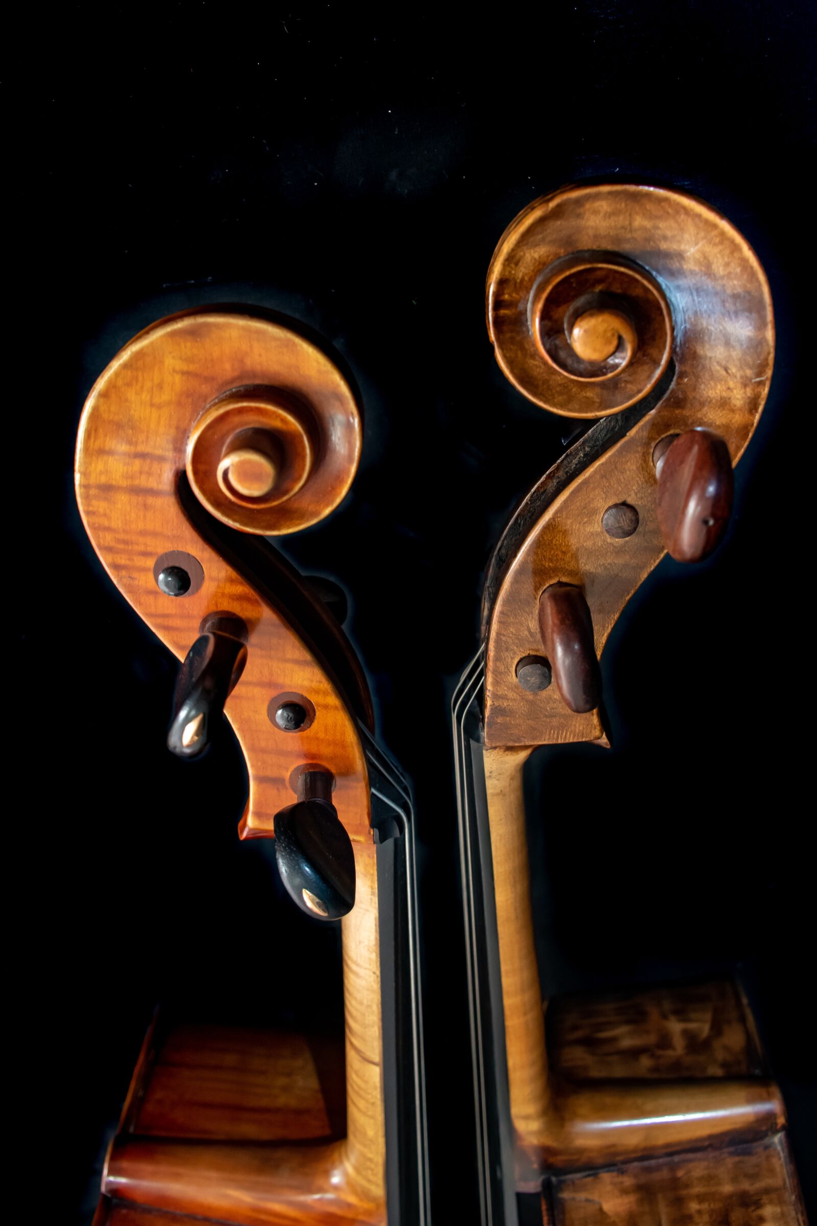 Nikon D5600 sample photo. Seduction, cello, versus photography