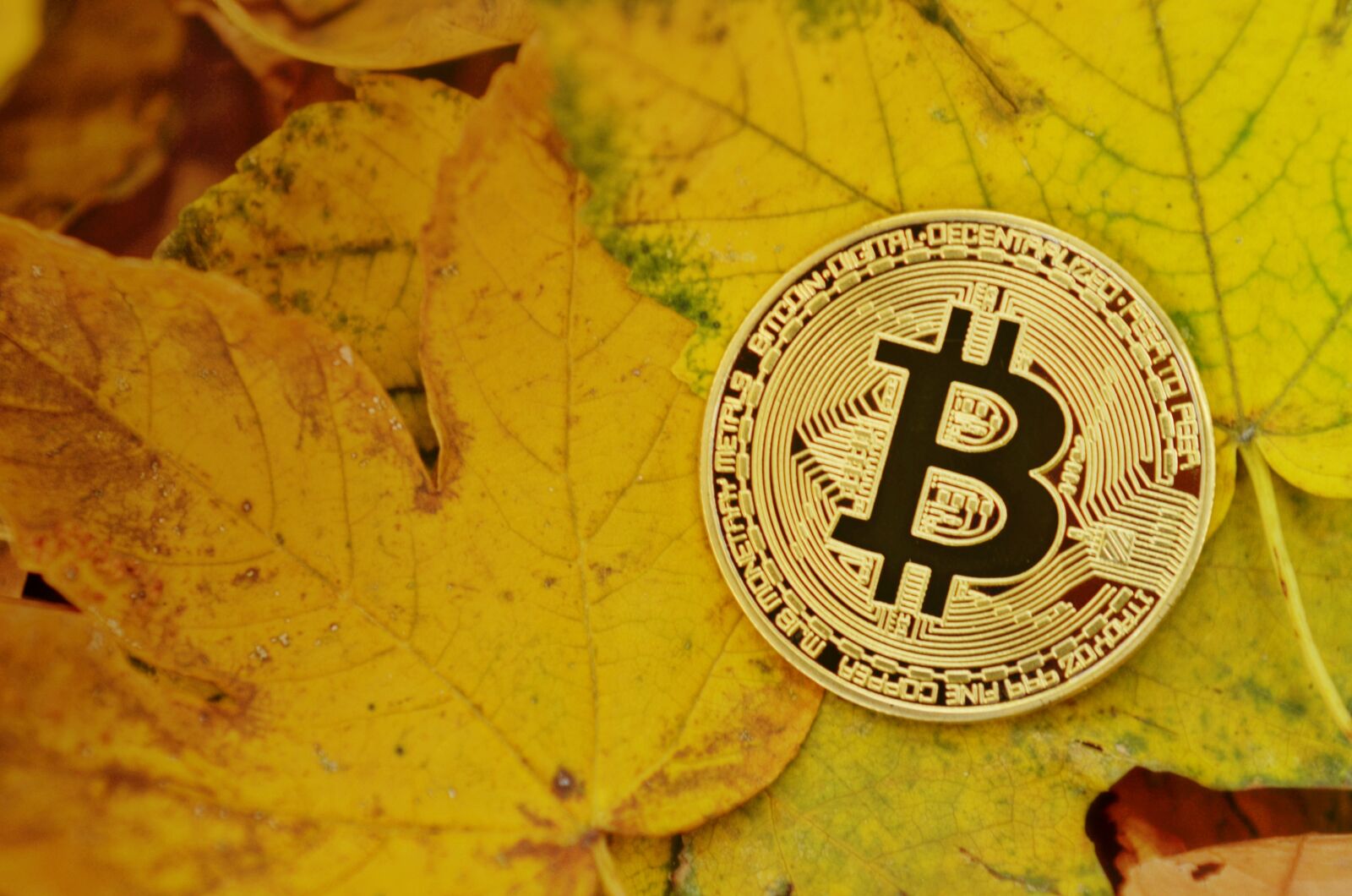 Nikon D7000 sample photo. Bitcoin, cryptocurrency, coins photography
