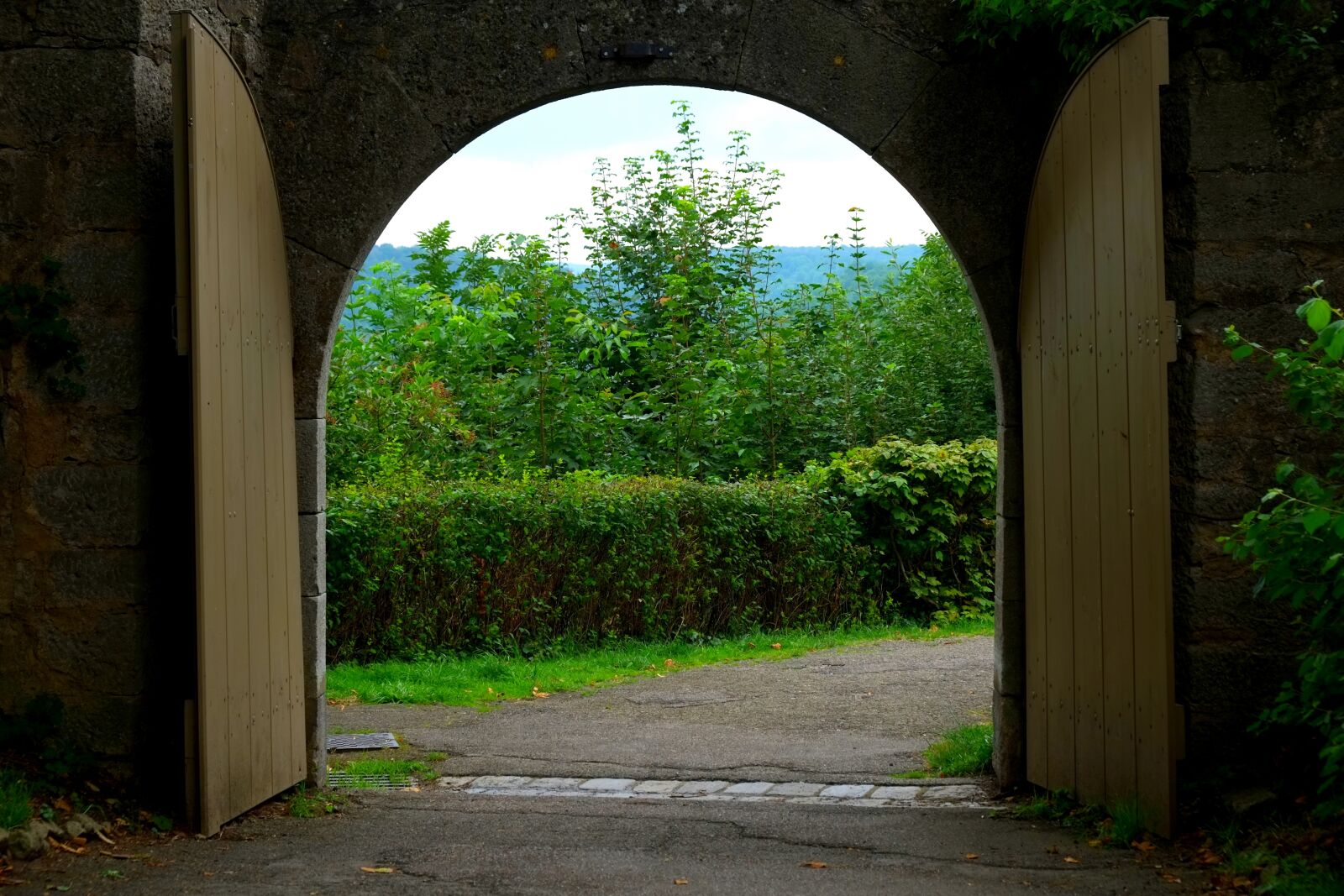 Fujifilm X-E1 sample photo. Goal, passage, input photography