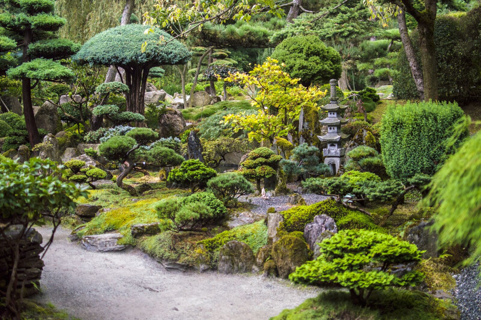 Nikon D3200 sample photo. Japanese, garden, stomečky photography