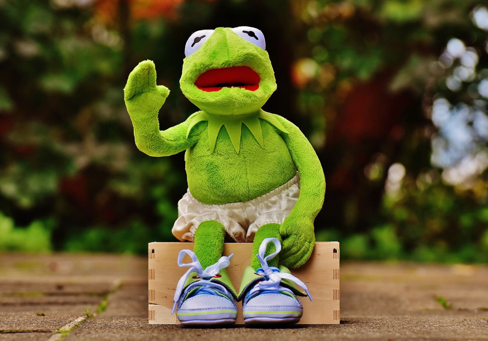 Nikon D7200 sample photo. Kermit, sit, bank photography