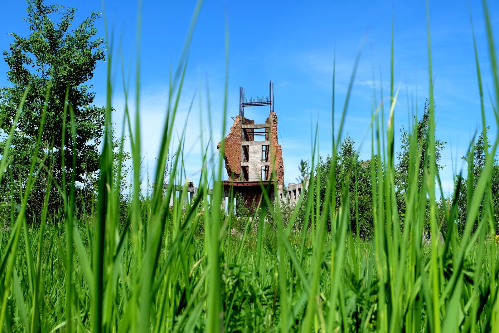 Fujifilm X-A2 + Fujifilm XC 16-50mm F3.5-5.6 OIS II sample photo. Grass, the ruins of photography