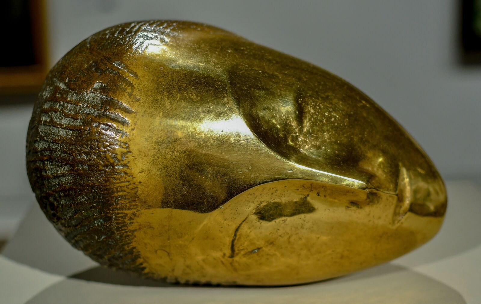 Nikon D500 sample photo. Bronze, face, gold photography