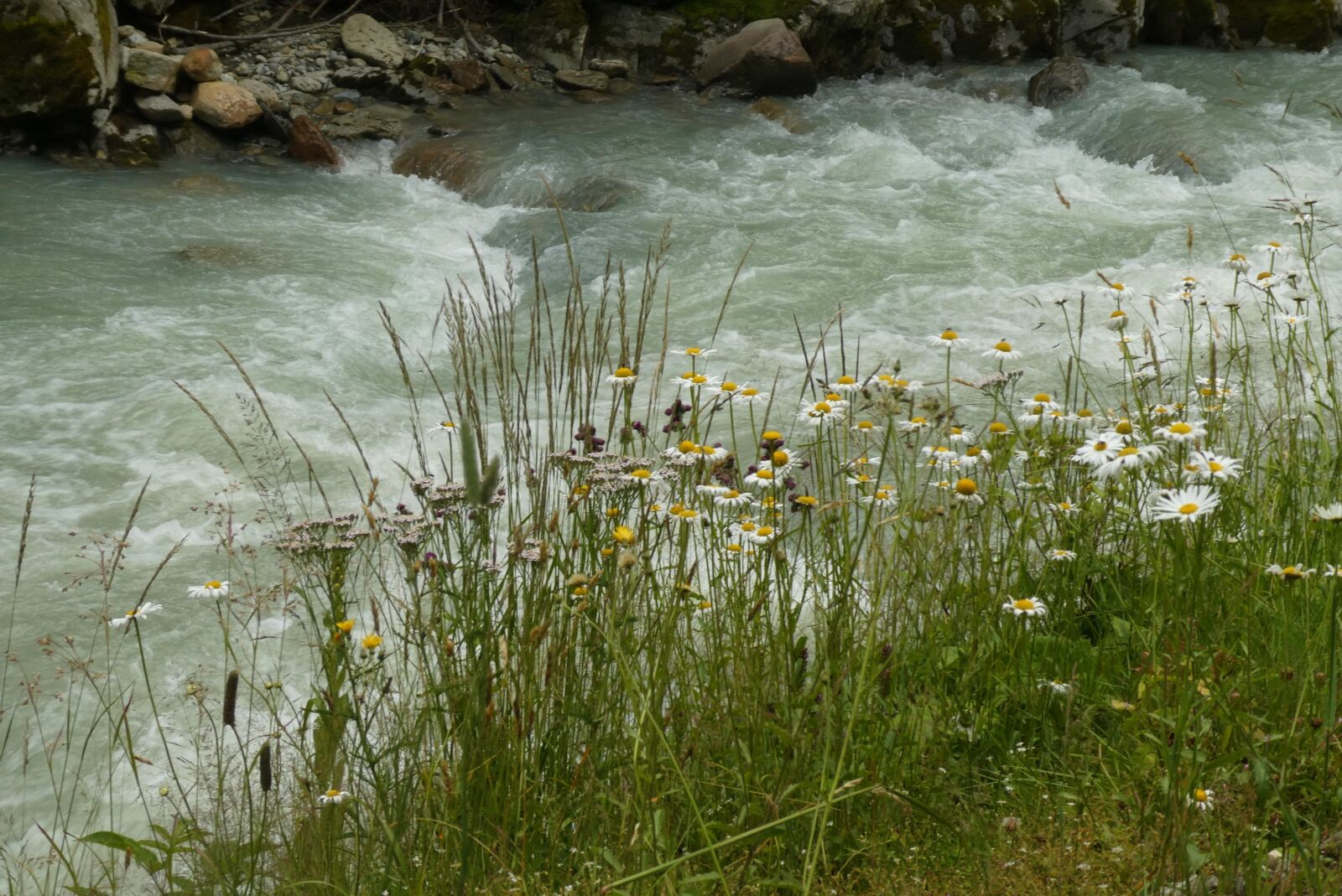 Panasonic Lumix DC-ZS70 (Lumix DC-TZ90) sample photo. Flow, brook, water photography